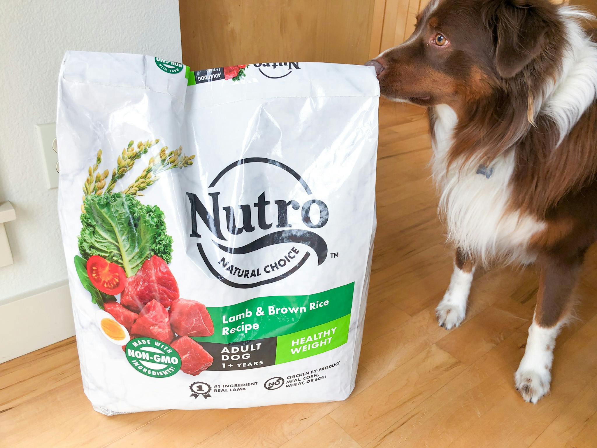 costco nutro dog food