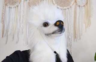 amazon weird products dog mask 022322 a 1645642119 1645642119