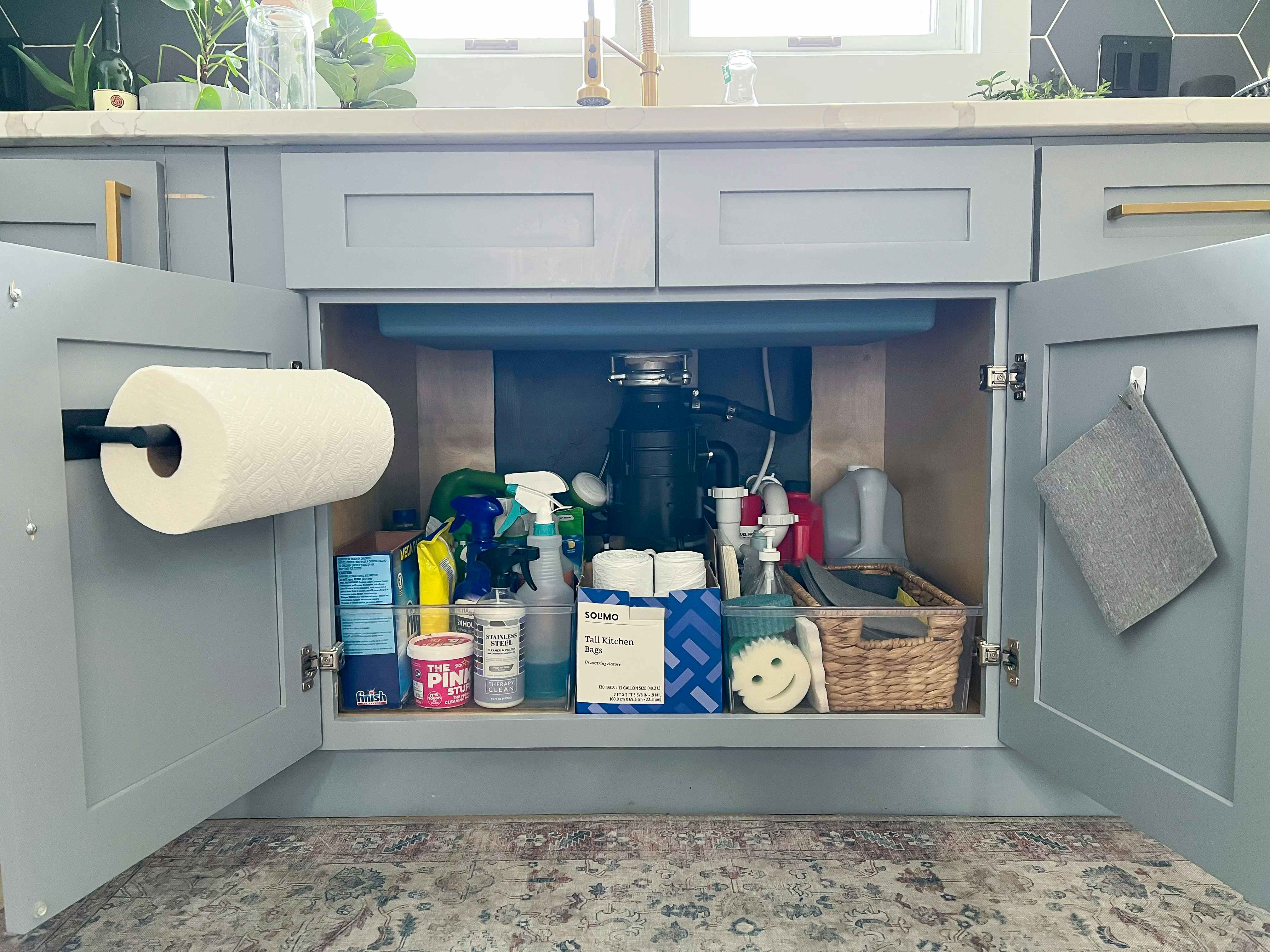 cupboard under the sink open with paper towel on paper towel holder, cleaning supplies and washcloth