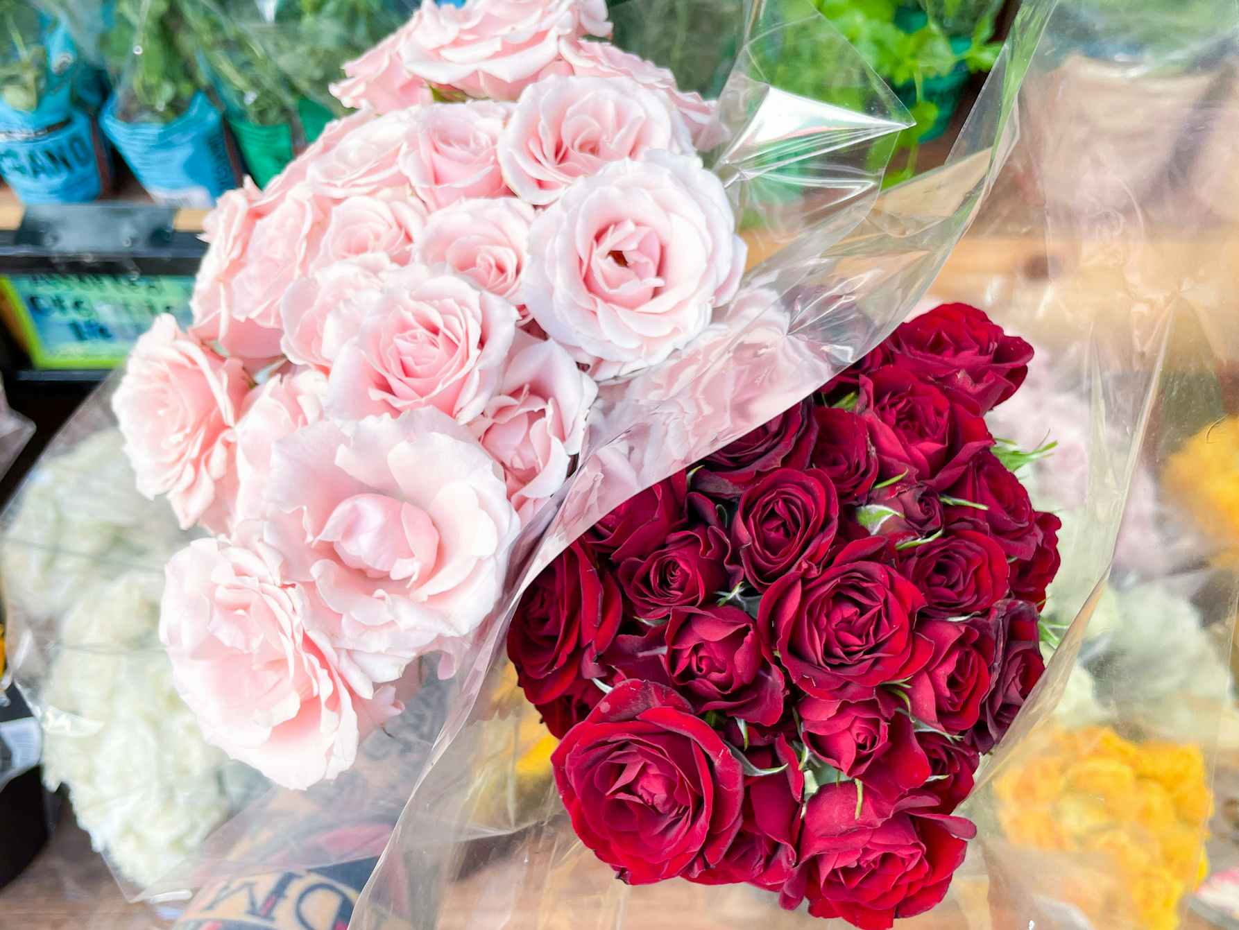 bouquets of pink and red roses at trader joes