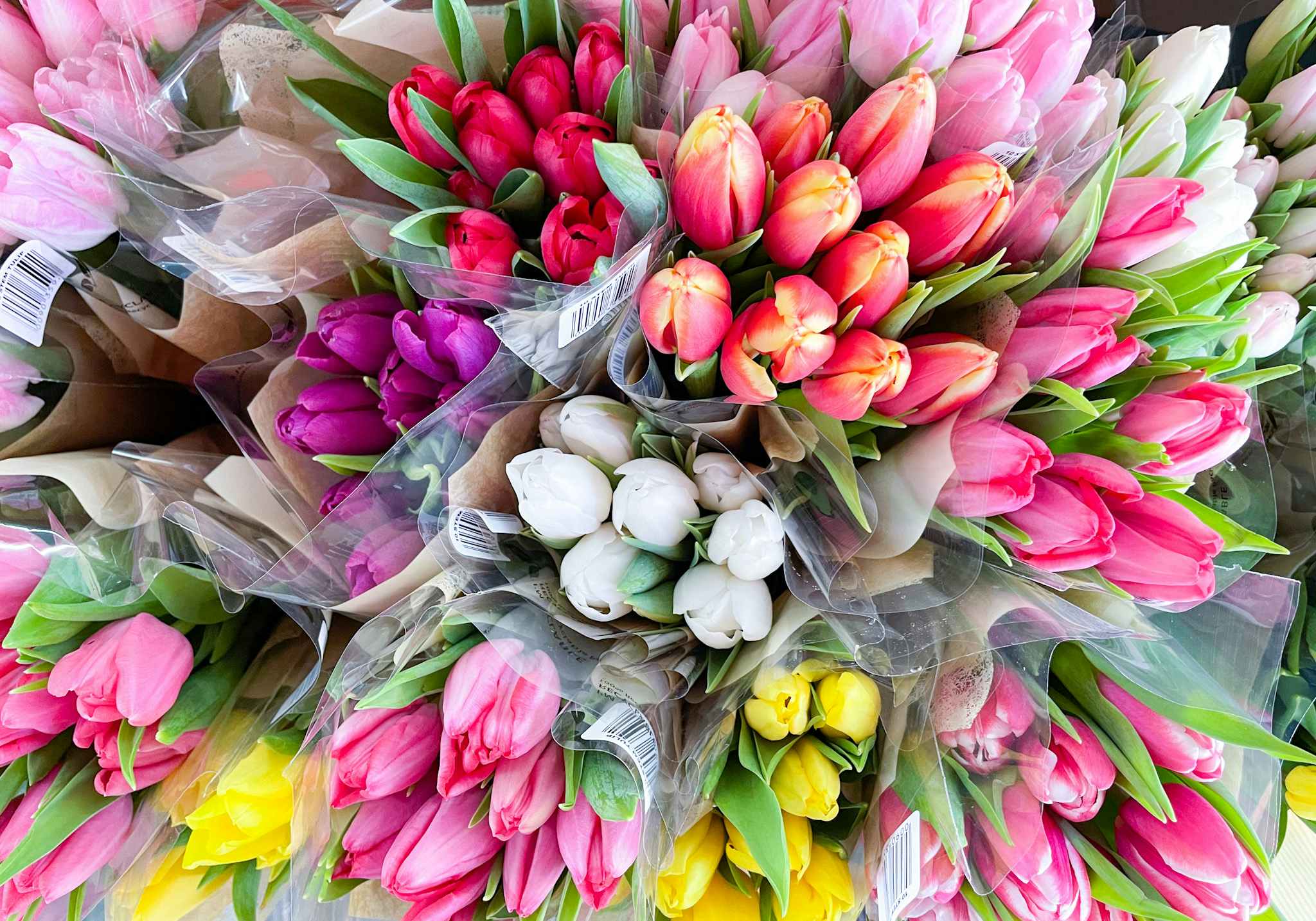assorted bouquets of muti color tulips at trader joes