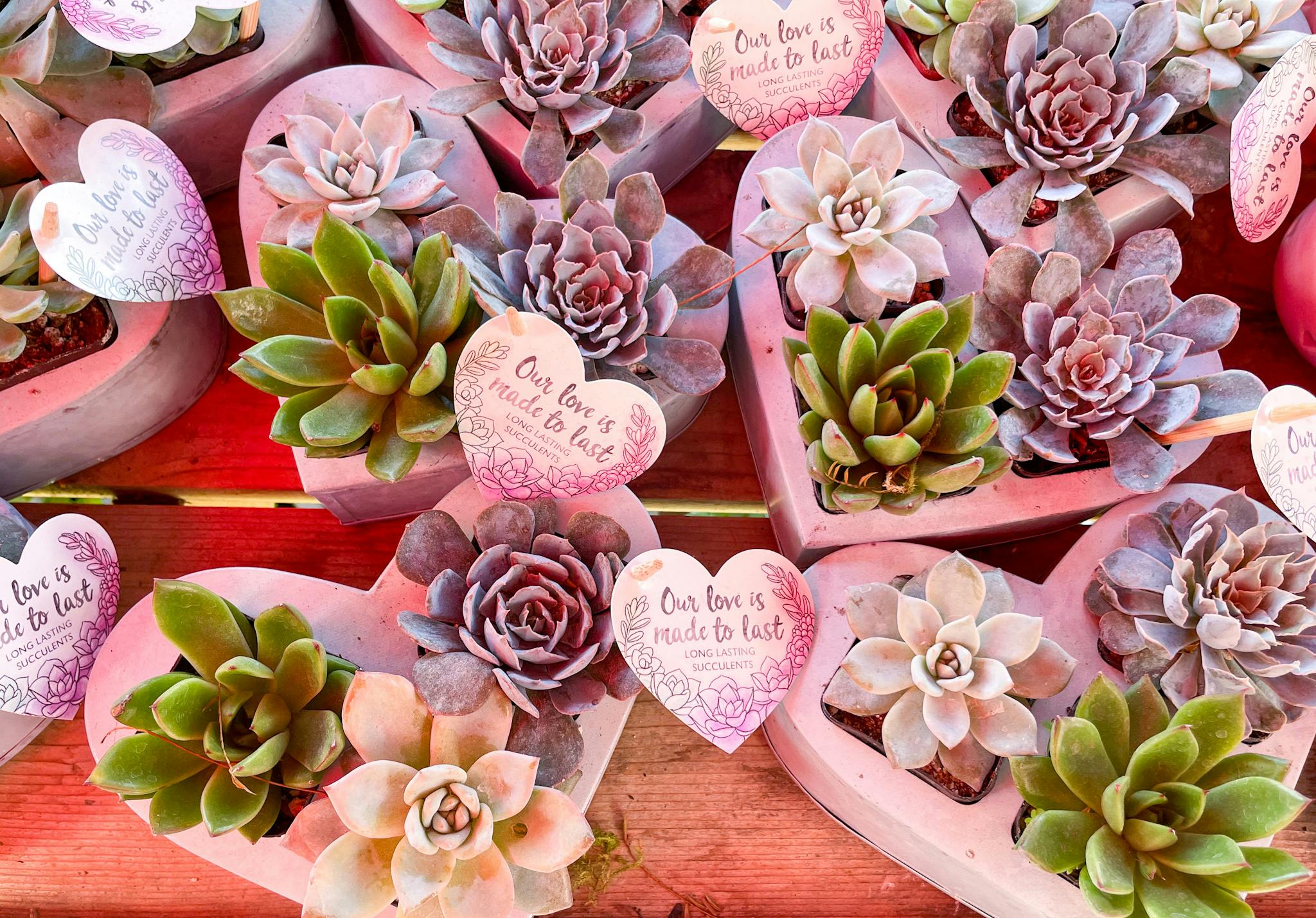 Where to Buy Valentine's Day Flowers for Cheap The Krazy Coupon Lady