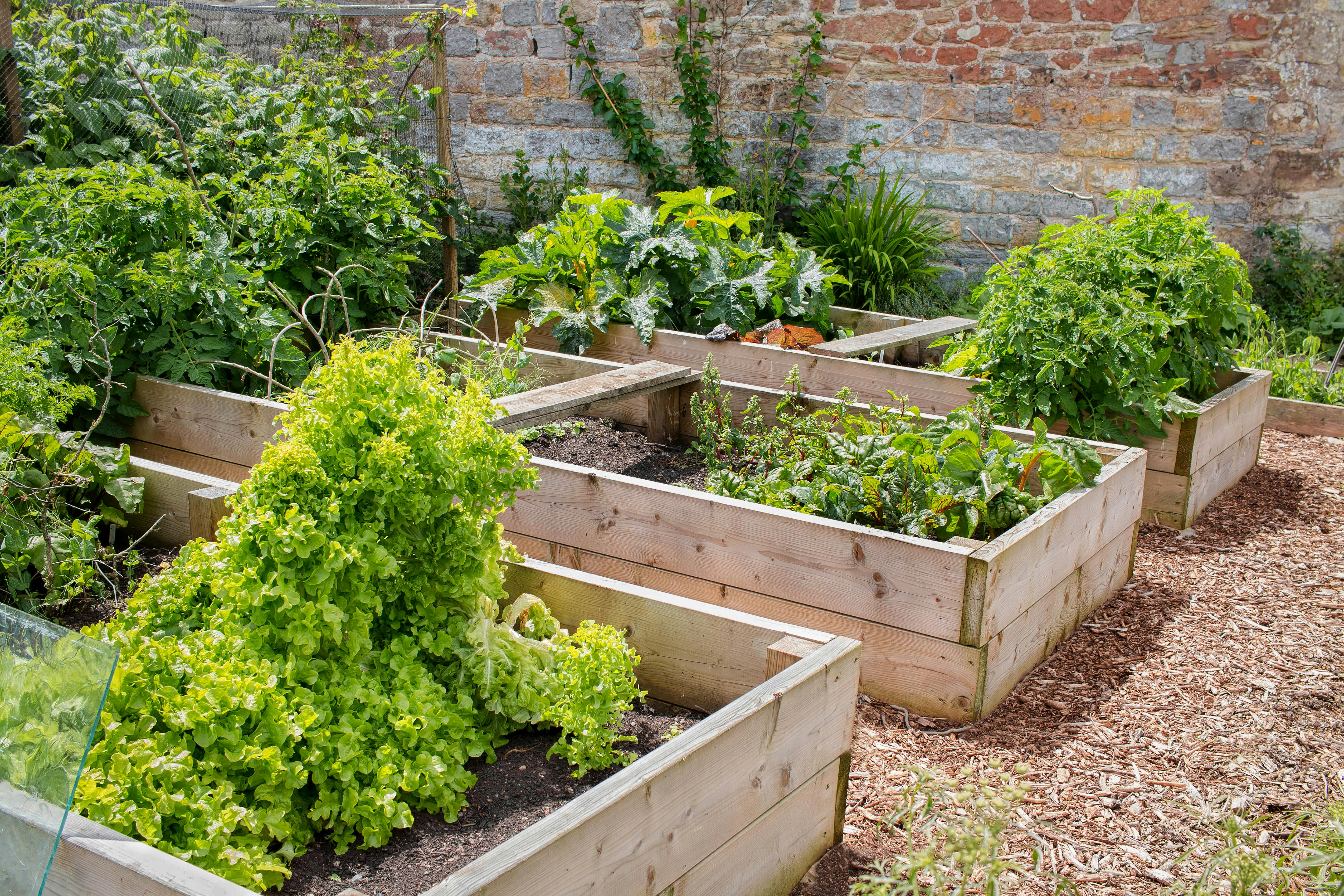 31 Easy and Inexpensive DIY Raised Garden Bed Ideas