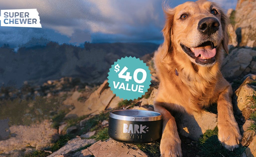 super chewer discount