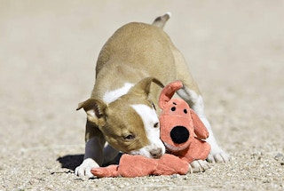 amazon multipets loofa toy 2022 1 1648317228 1648317228