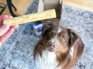 amazon purina busy roll hide 4 1647285701 1647285701