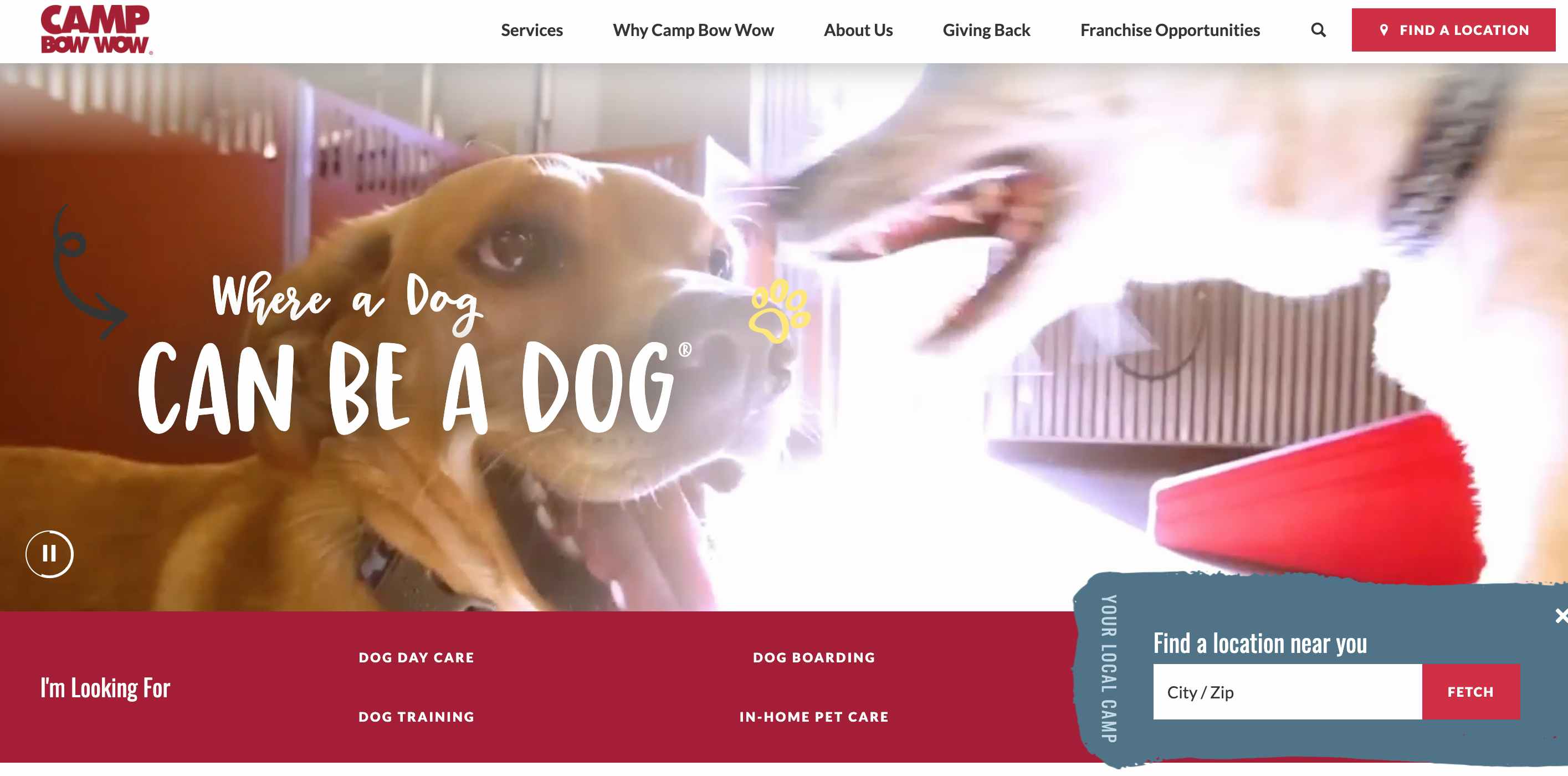 camp bow wow website