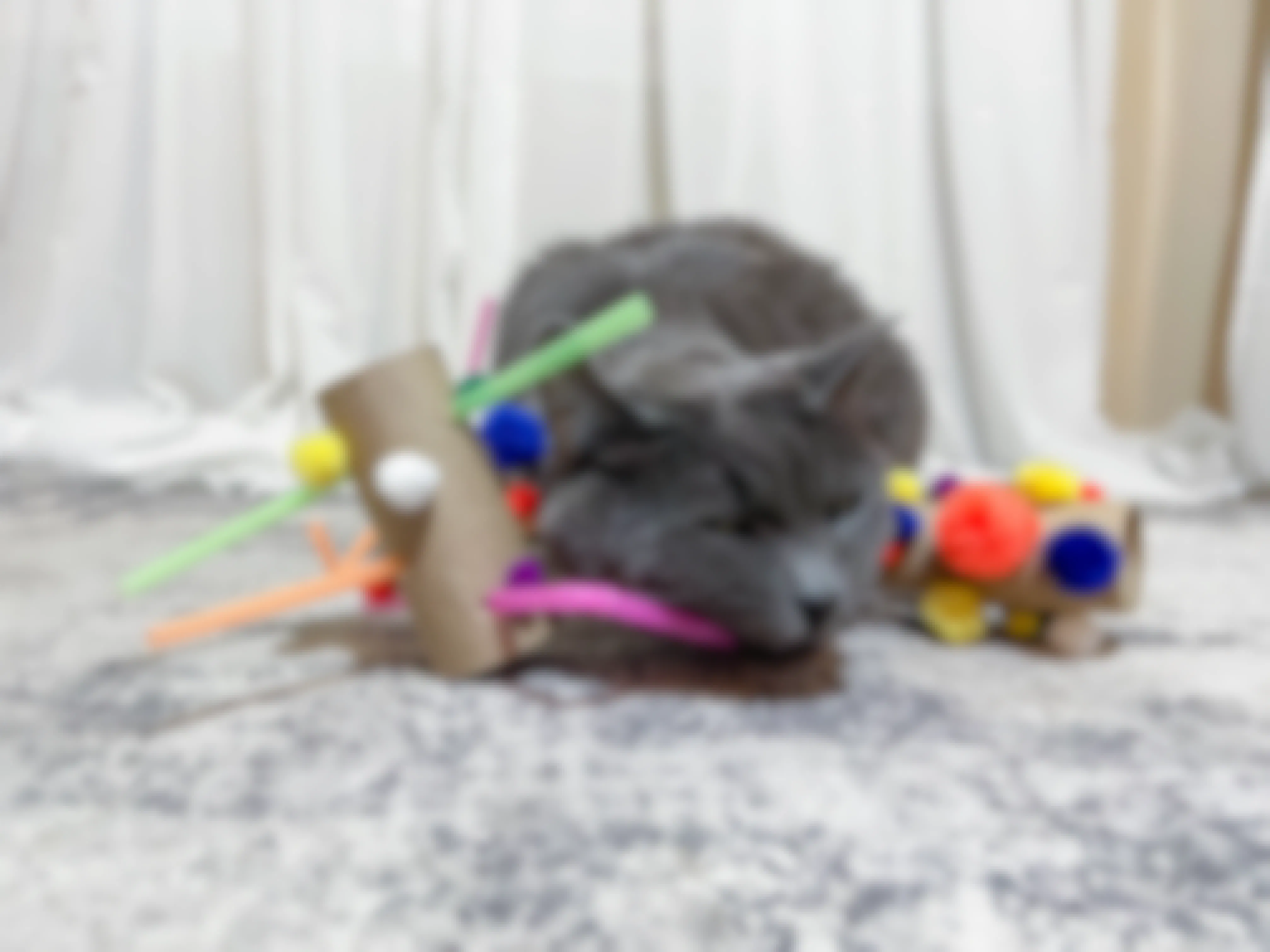 a cat playing with diy cat toys made of empty toilet paper rolls and pom poms and straws 