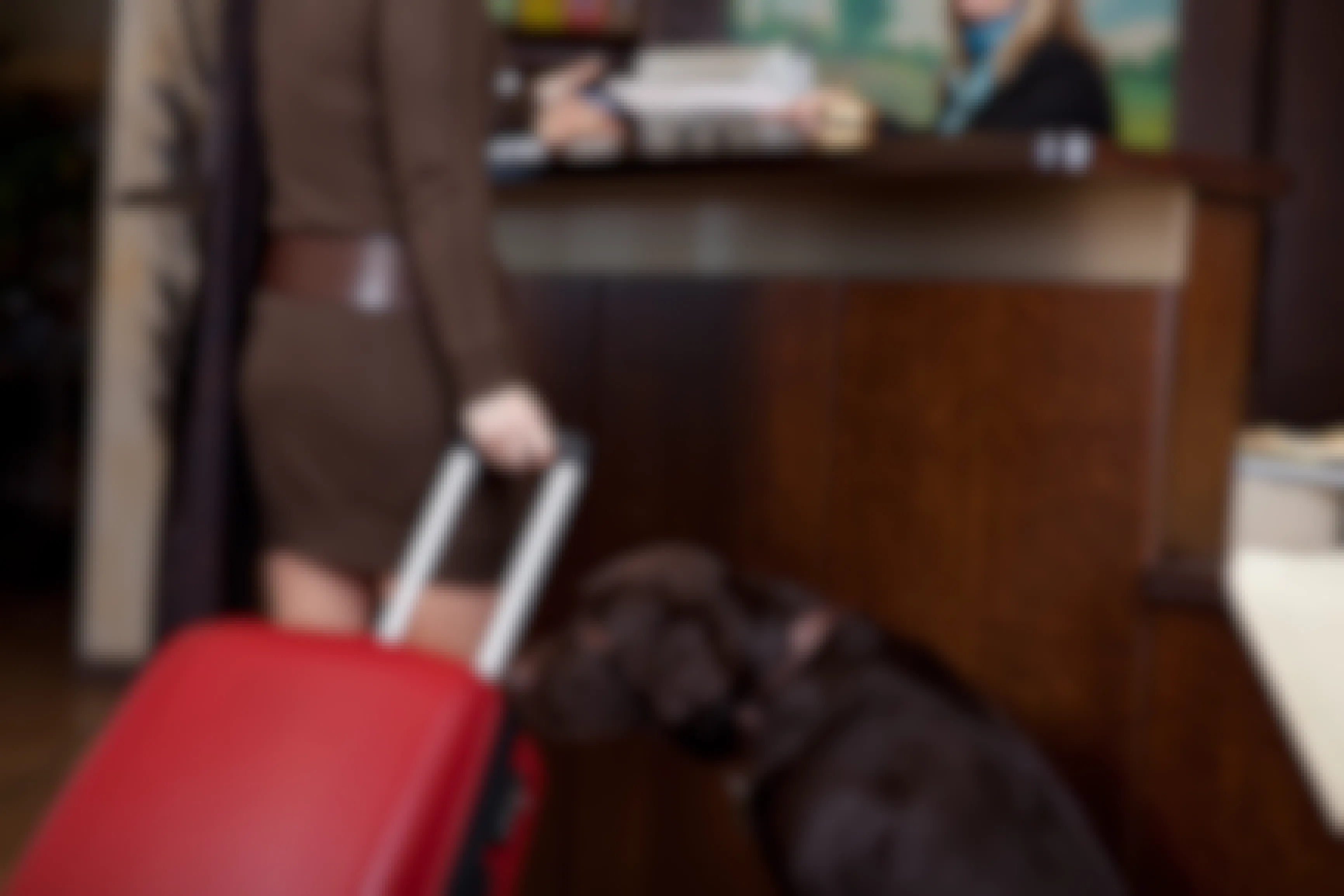 dog next to person with luggage at hotel front desk