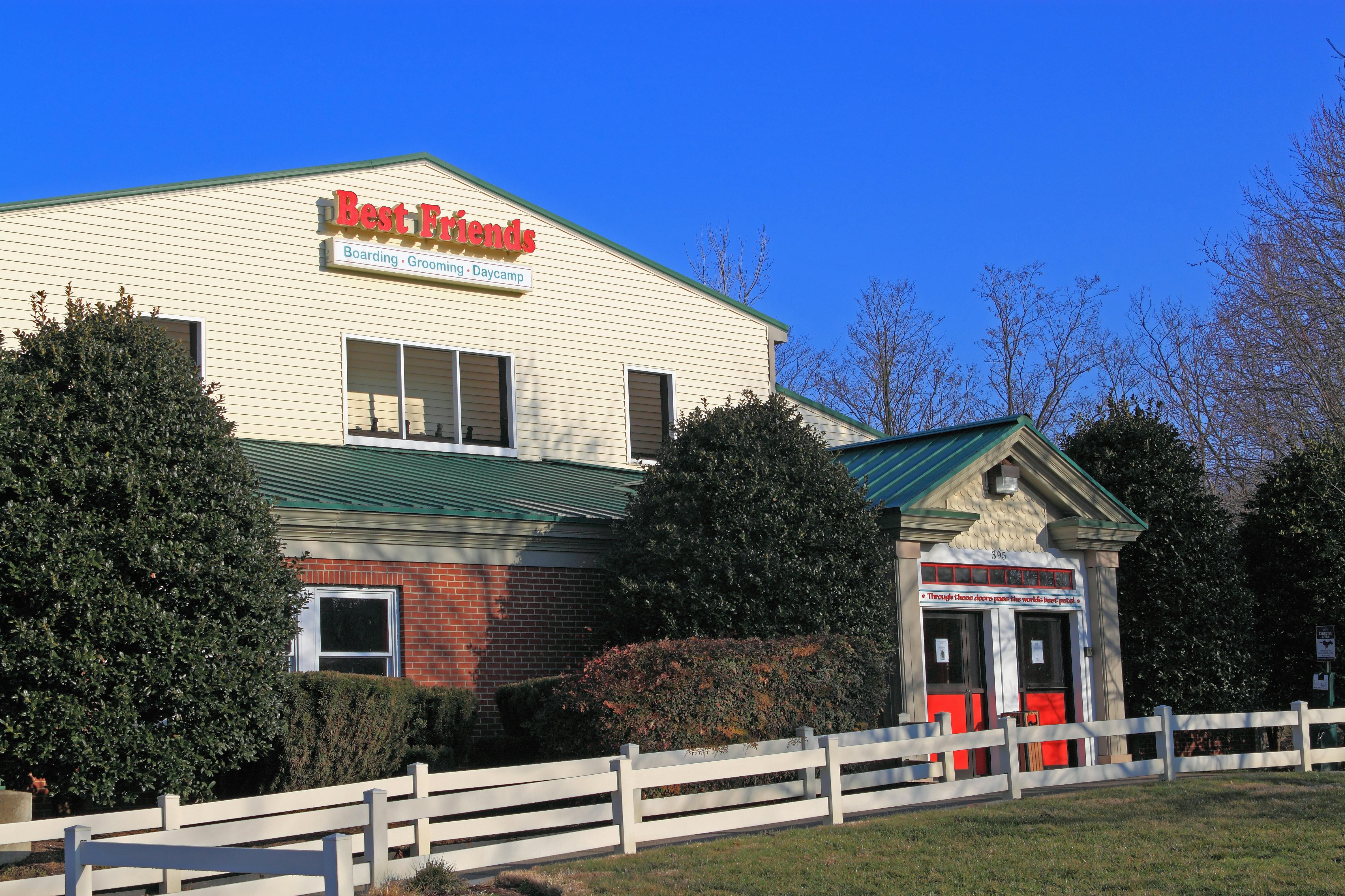 8 Pet Boarding Options That Won't Make You Shed (Money) The Krazy