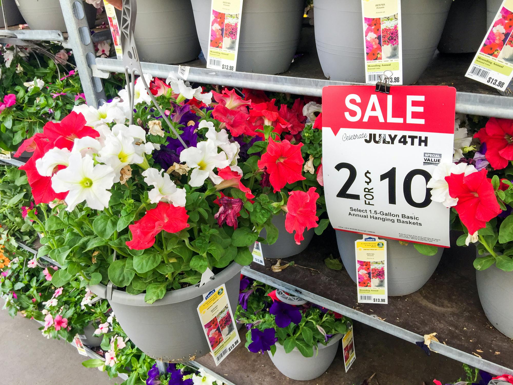 Some hanging flower baskets on sale at Lowe's for their 4th of July sale