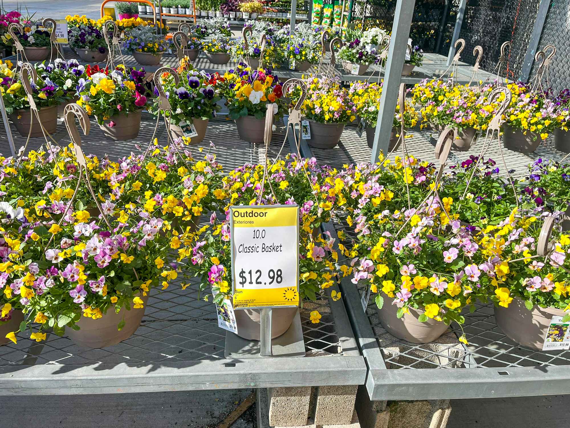 Hanging flower baskets on display in The Home Depot Nursery