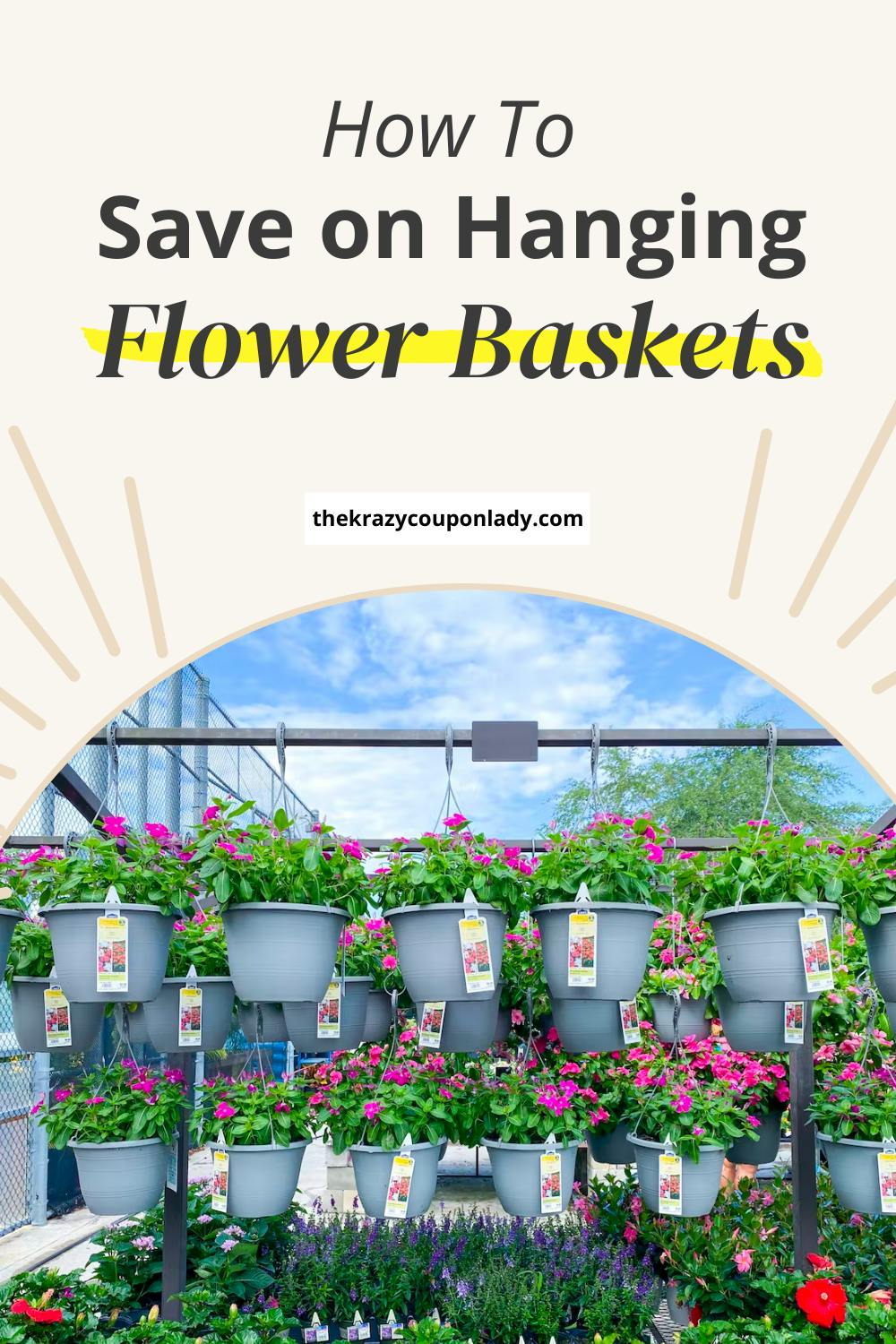 How to Save on Hanging Flower Baskets