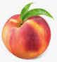 California Peaches or Nectarines, Albertsons App Coupon