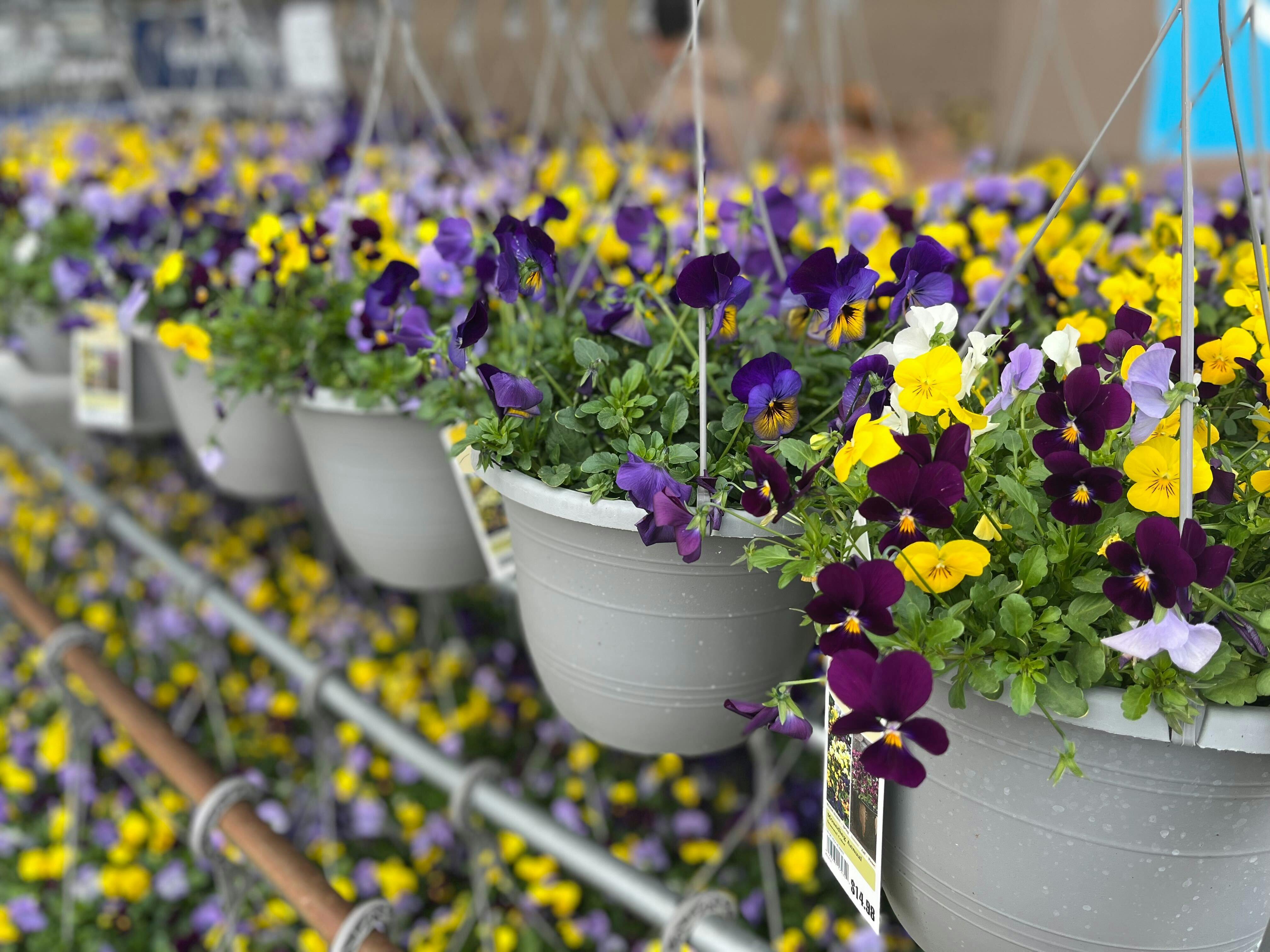 Lowe's Spring Black Friday Dates, Strategies, and StockUp Prices The