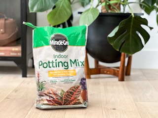miracle grow indoor potting soil 1647803388 1647803388