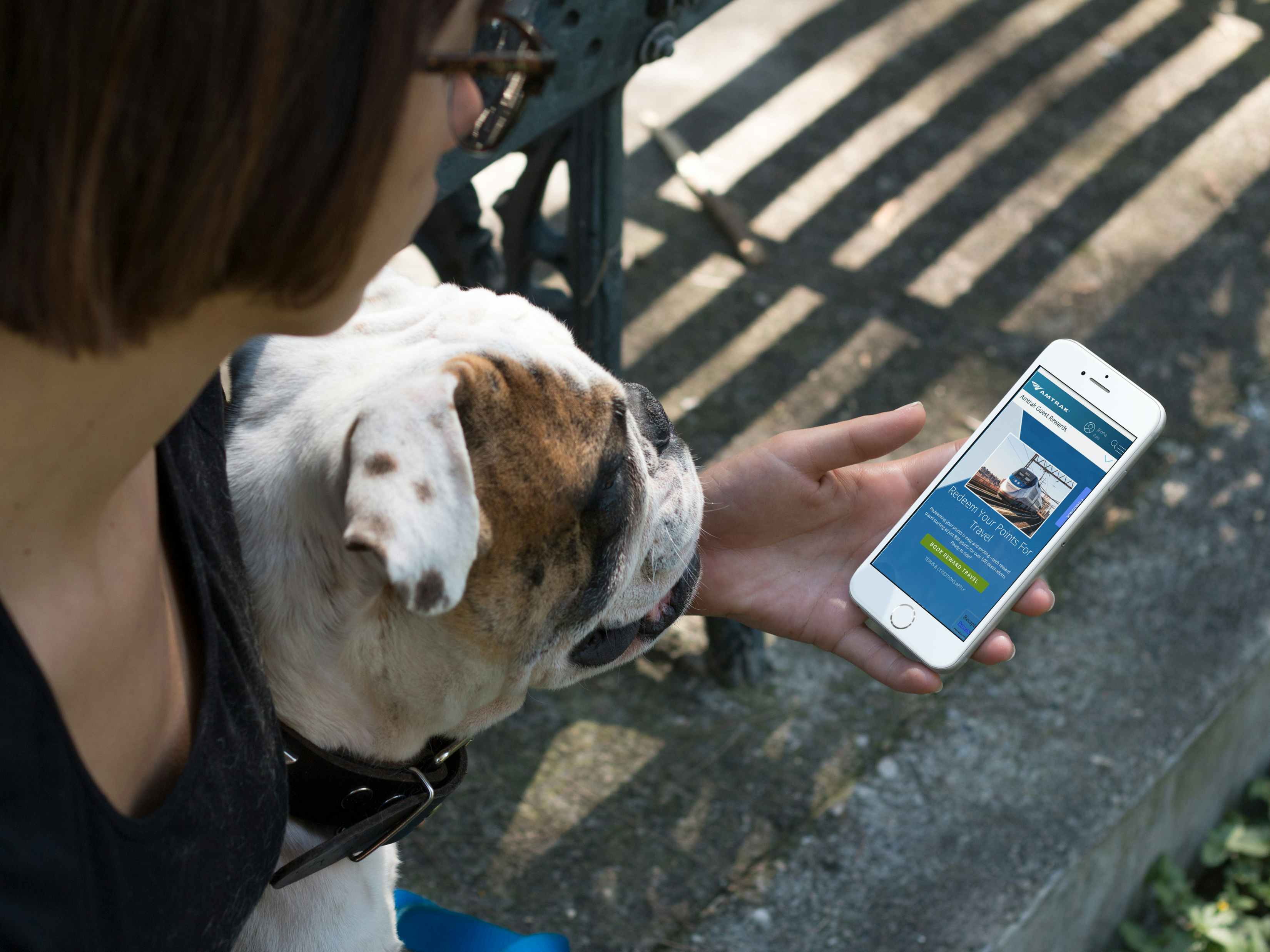 woman sitting with her dog outside and checking her Amtrak guest rewards points on her iphone