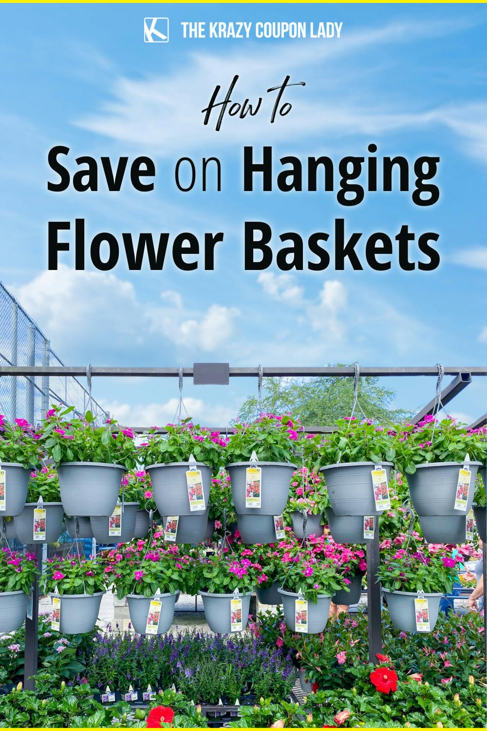 How to Save on Hanging Flower Baskets