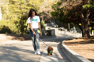 someone in a wag tshirt walking a dog