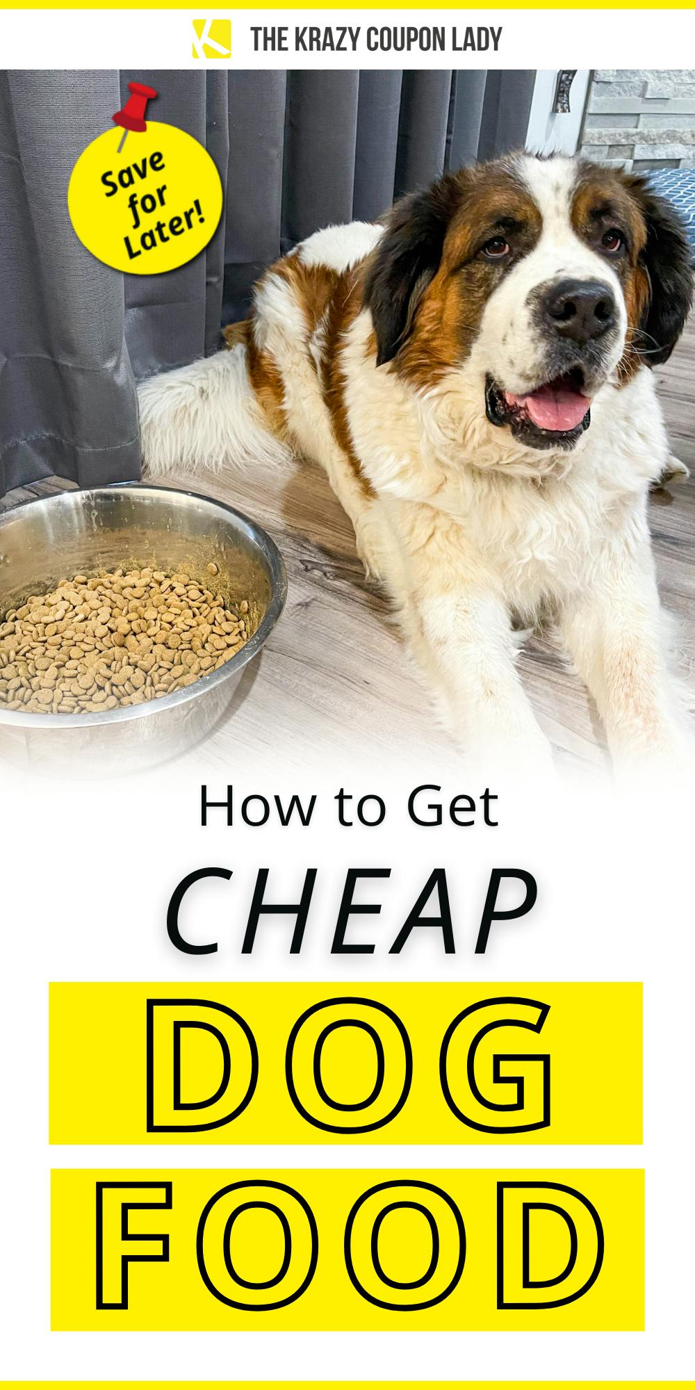 cheapest place for dog food