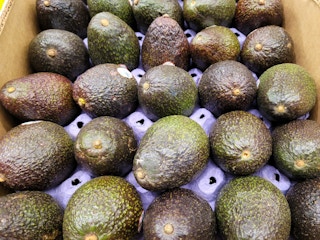 aldi avocados 2022 sv 1651079420 1651079420