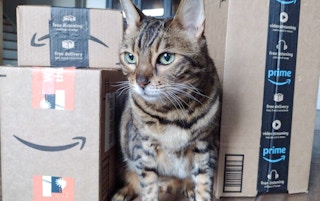 amazon boxes cat1 1650302879 1650302879