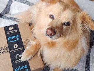 amazon boxes dog6 1650302940 1650302940