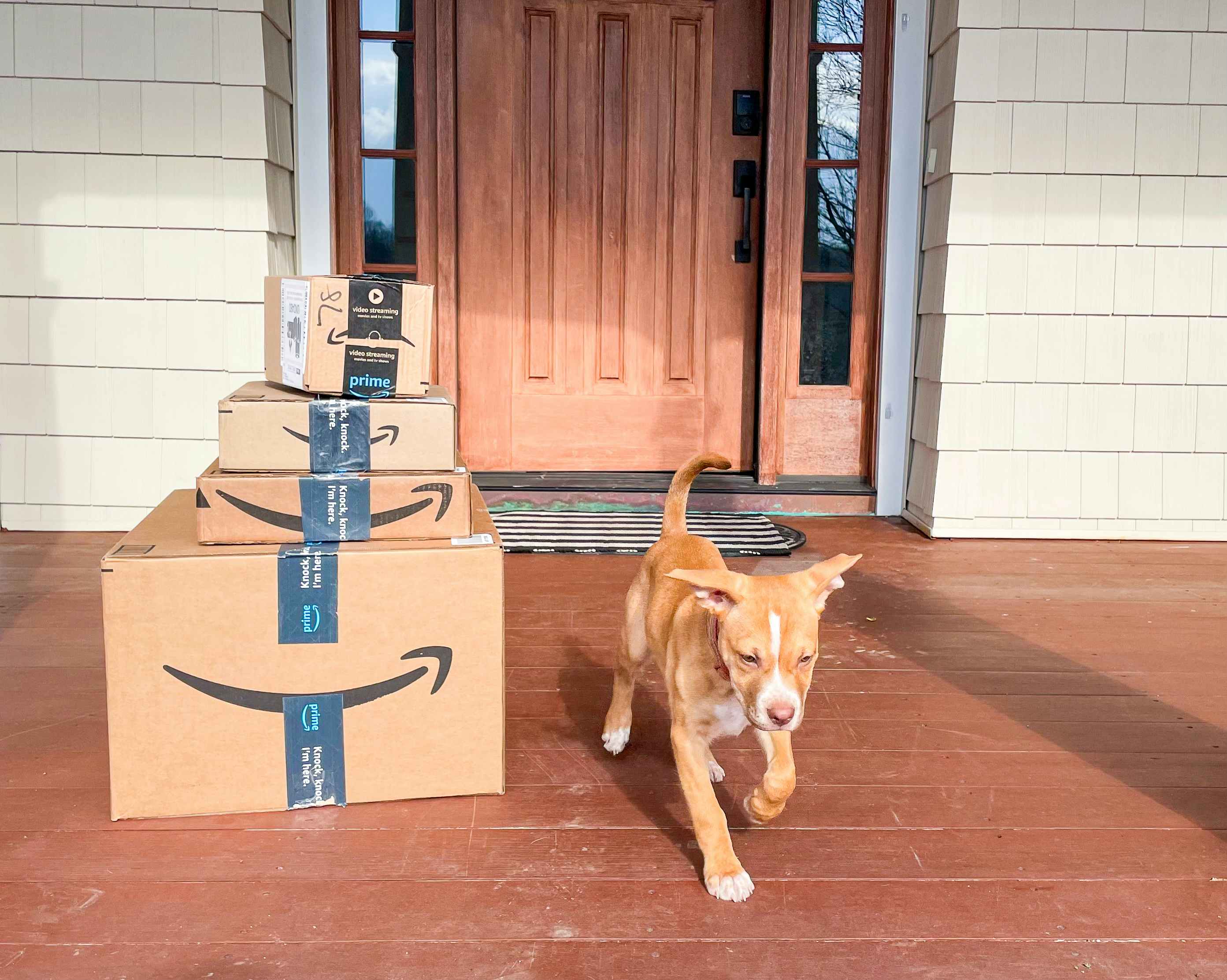 puppy running on the front porch with a stack of amazon prime boxes sitting on doorstep