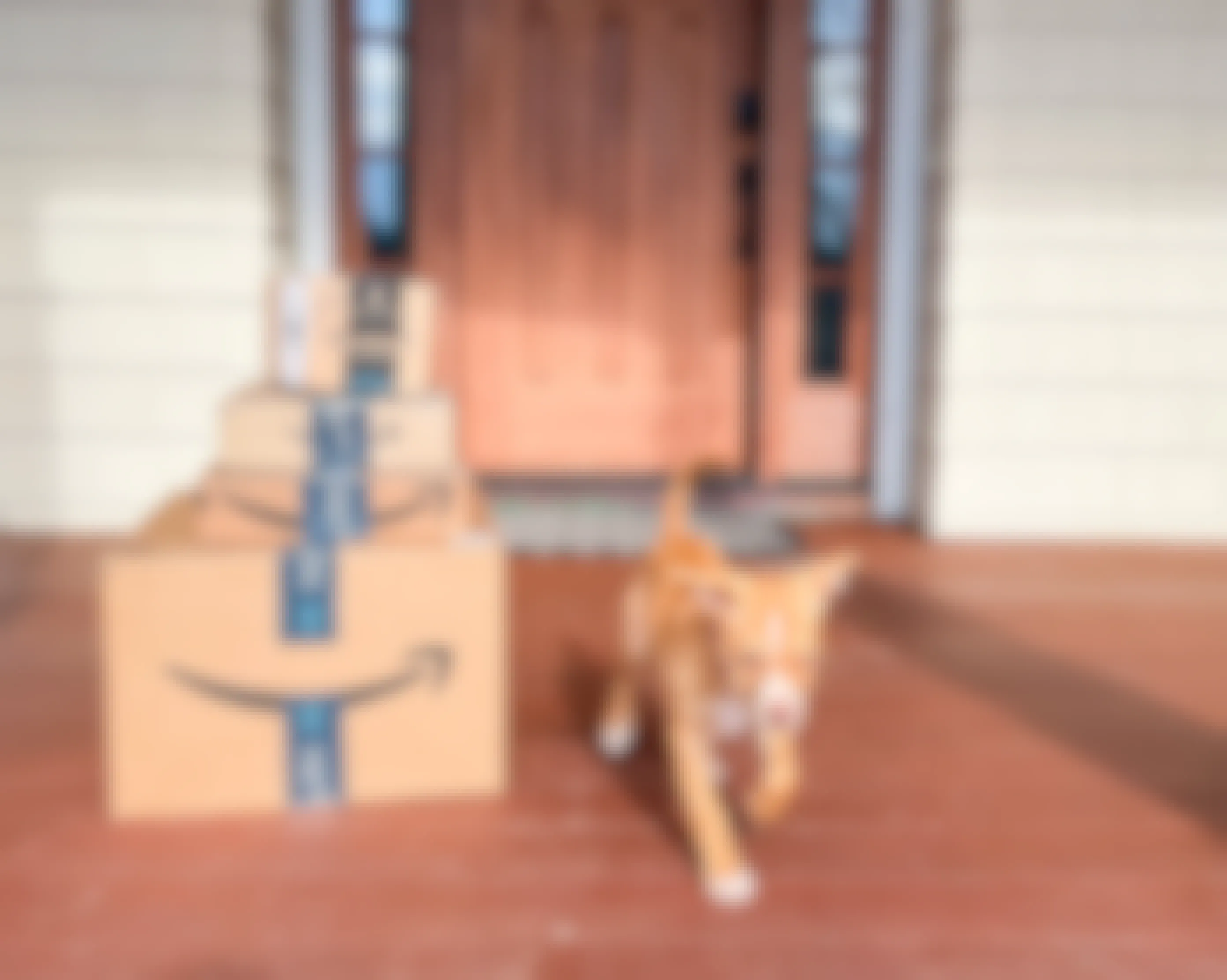 puppy running on the front porch with a stack of amazon prime boxes sitting on doorstep