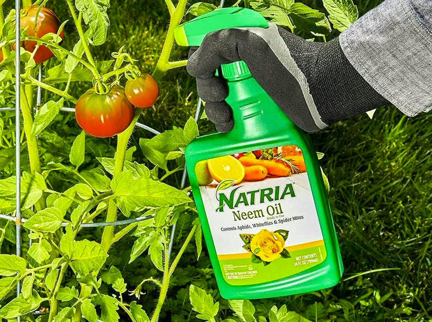 Outdoor Coupons and Deals The Krazy Coupon Lady April 2022