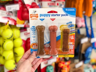 amazon pet day 2022 dog nylabone puppy 1650550744 1650550744 scaled