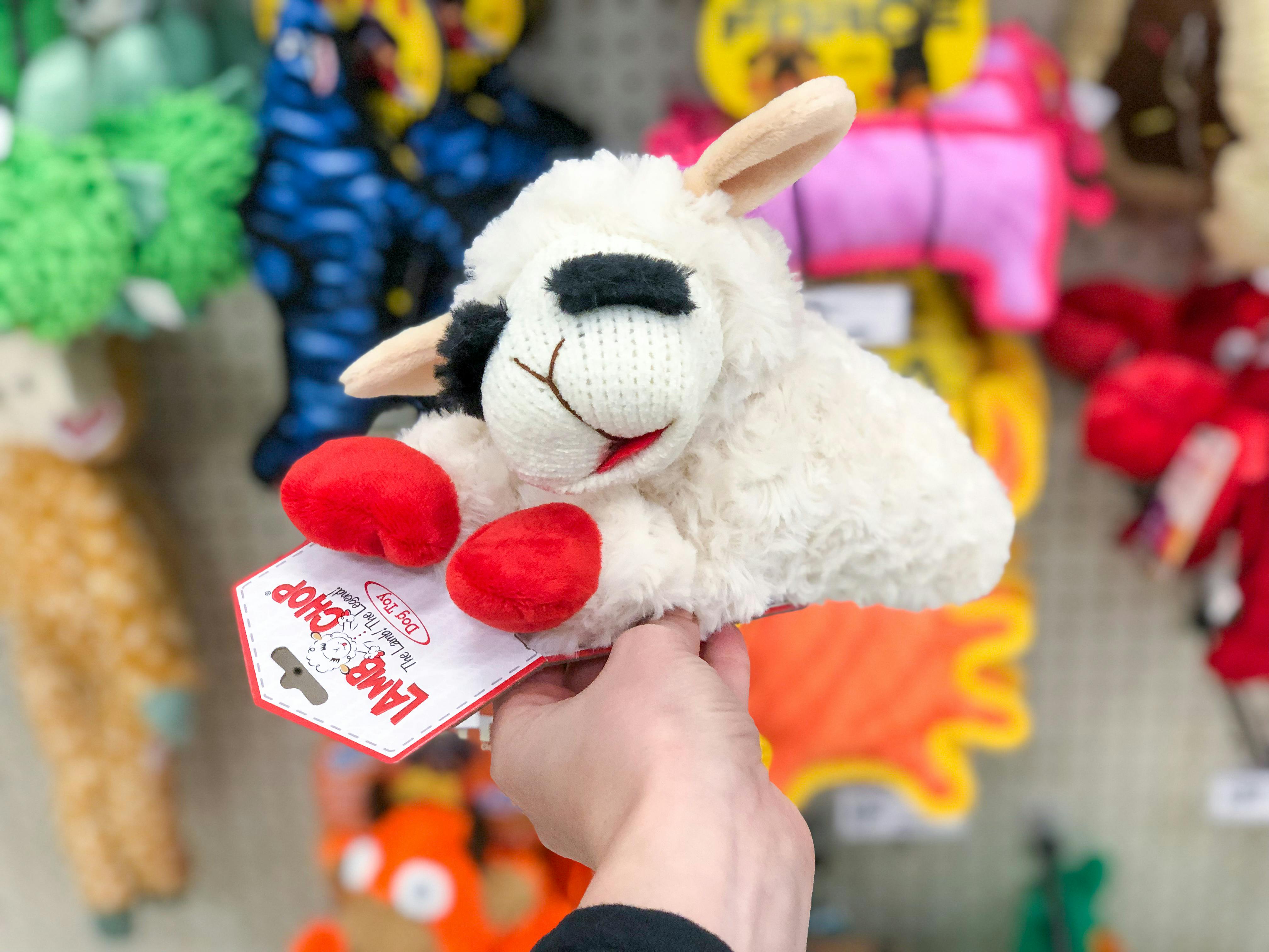 valentine's day lamb chop dog toy