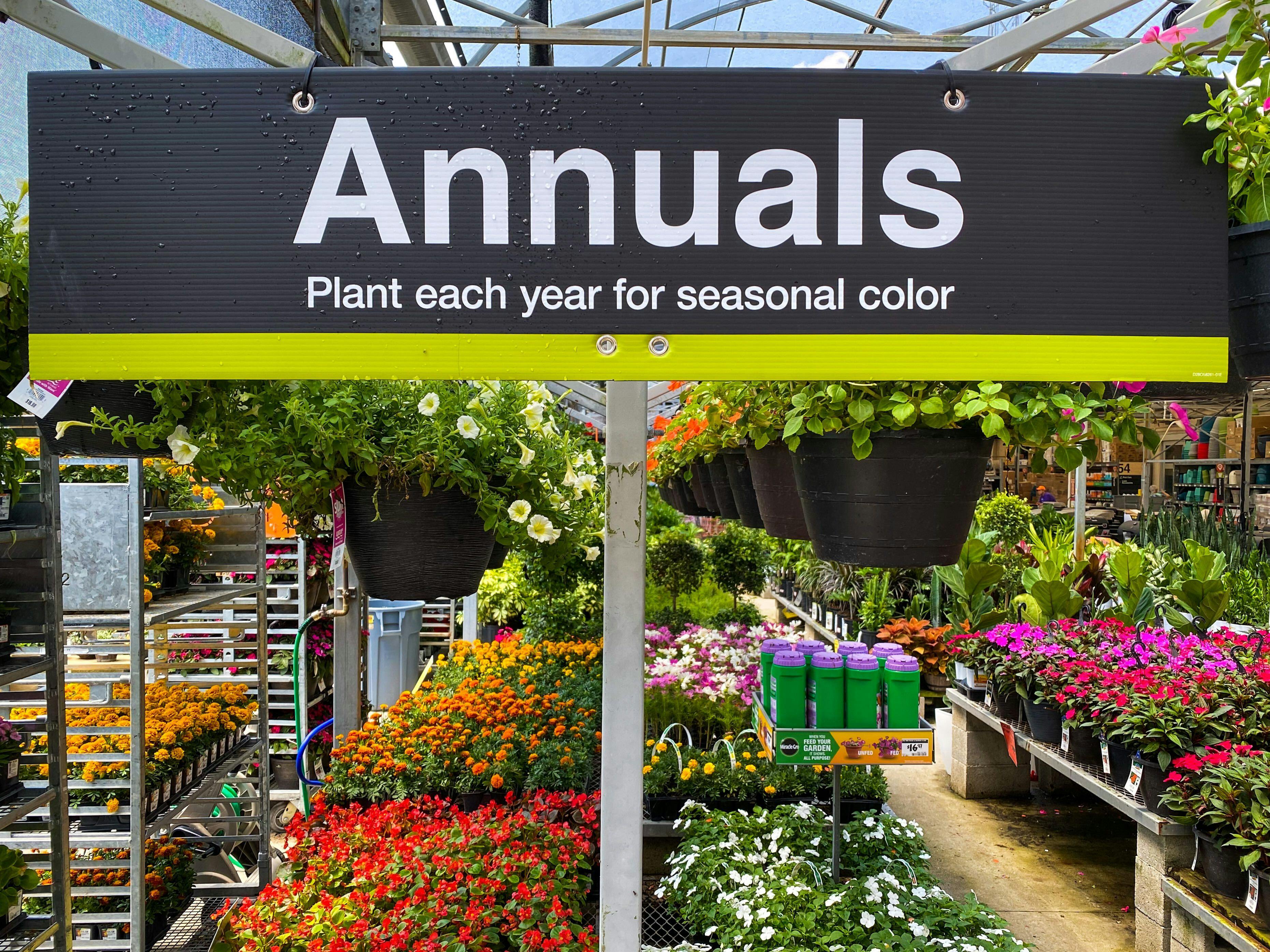 The section of Annual flowers in The Home Depot garden center