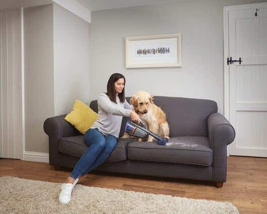 A person sitting on a couch with a dog, using a handheld vacuum to clean up some dog hair.