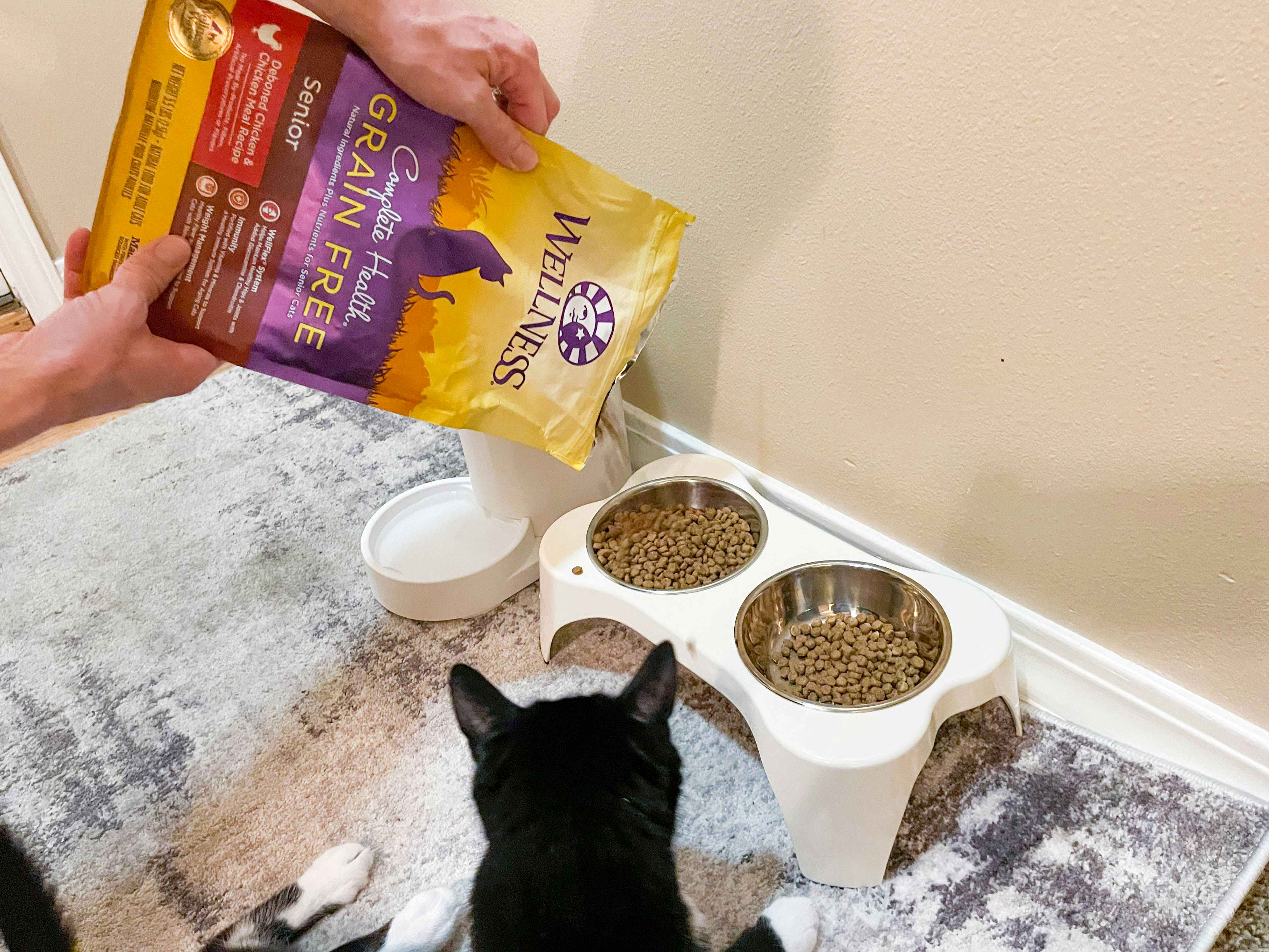 wellness complete health grain free senior cat food being poured into bowl