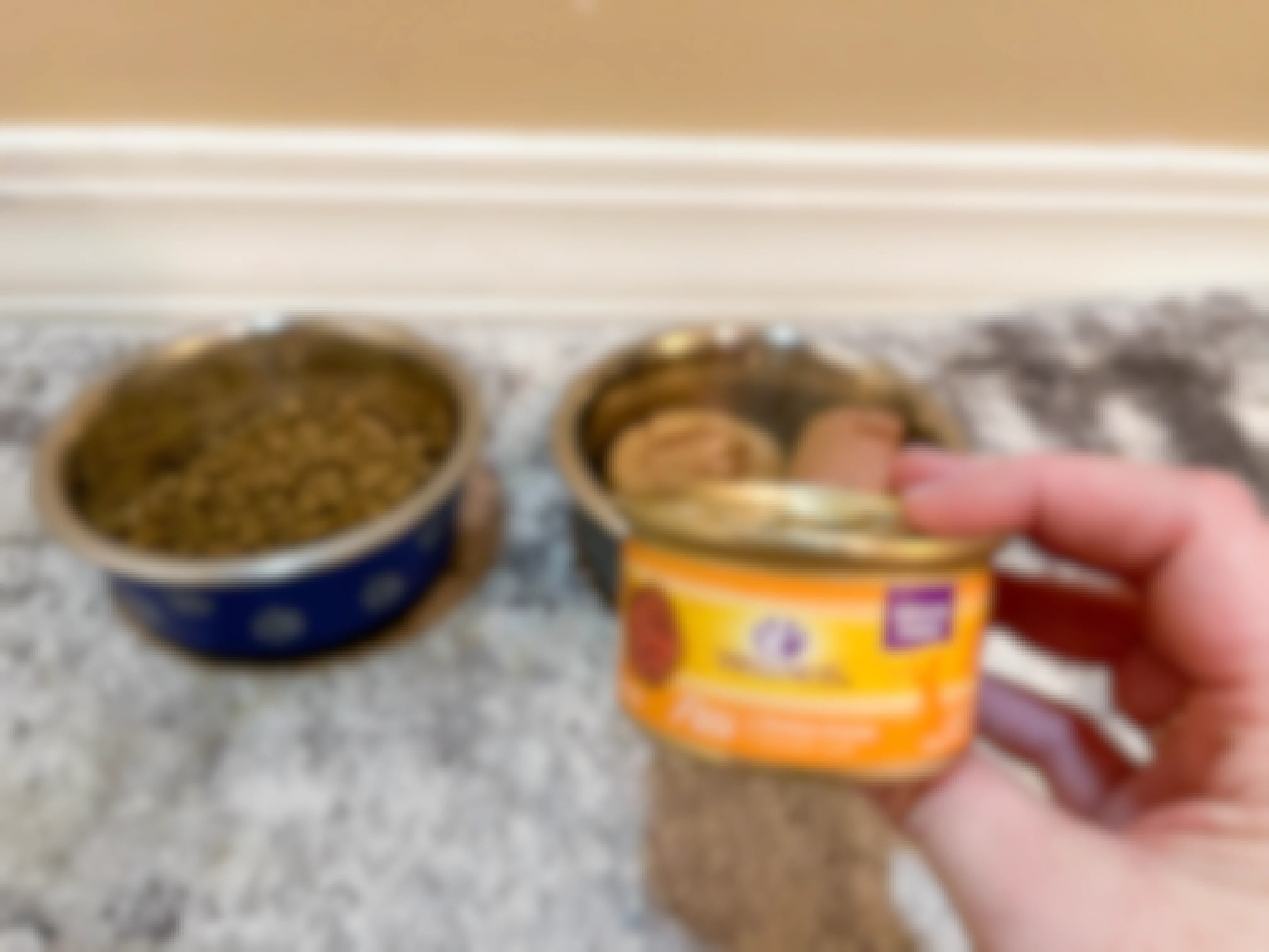 a can of wellness wet cat food being held in front of filled cat bowls