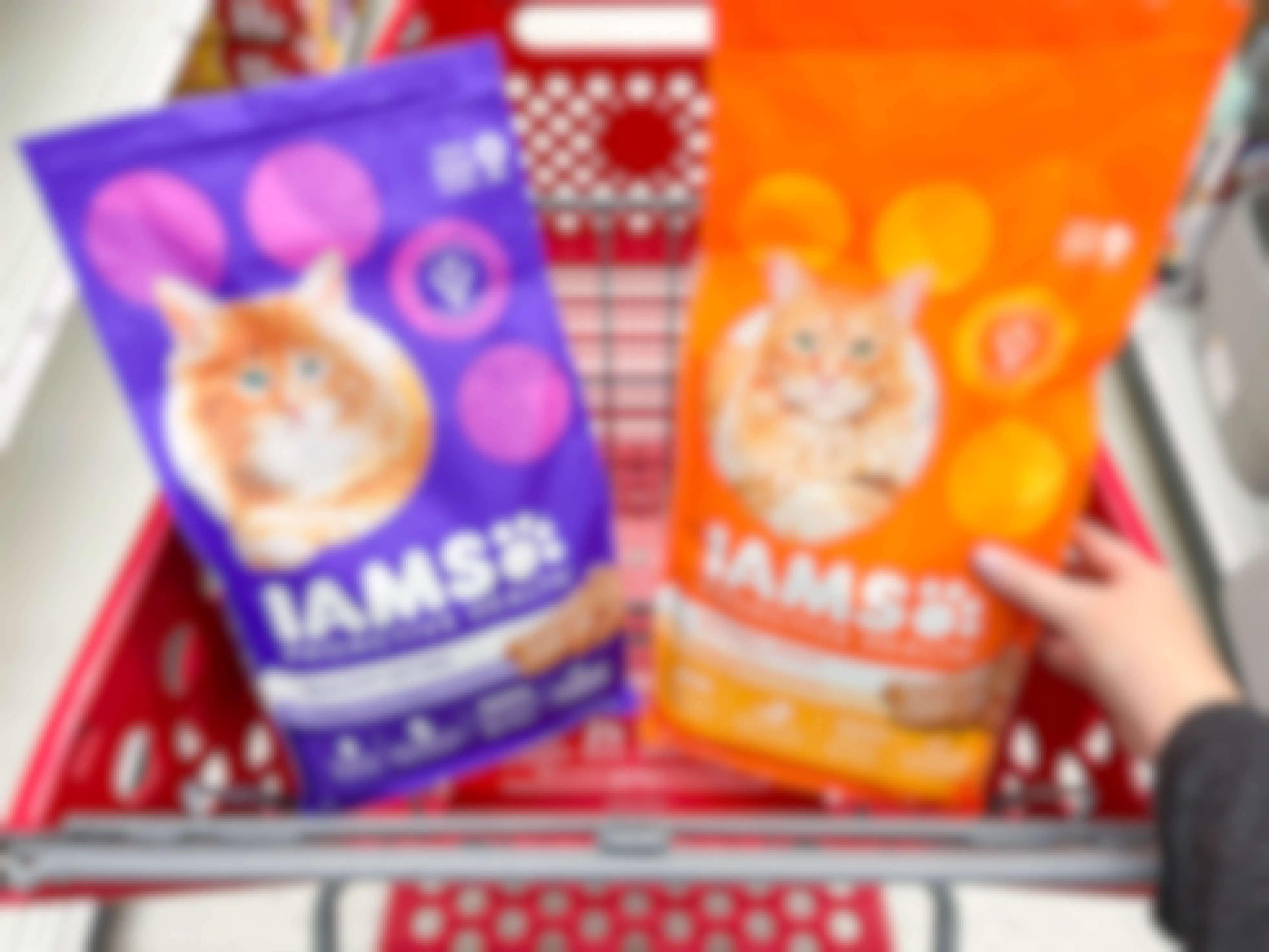kitten and adult varieties of iams dry cat food in target cart
