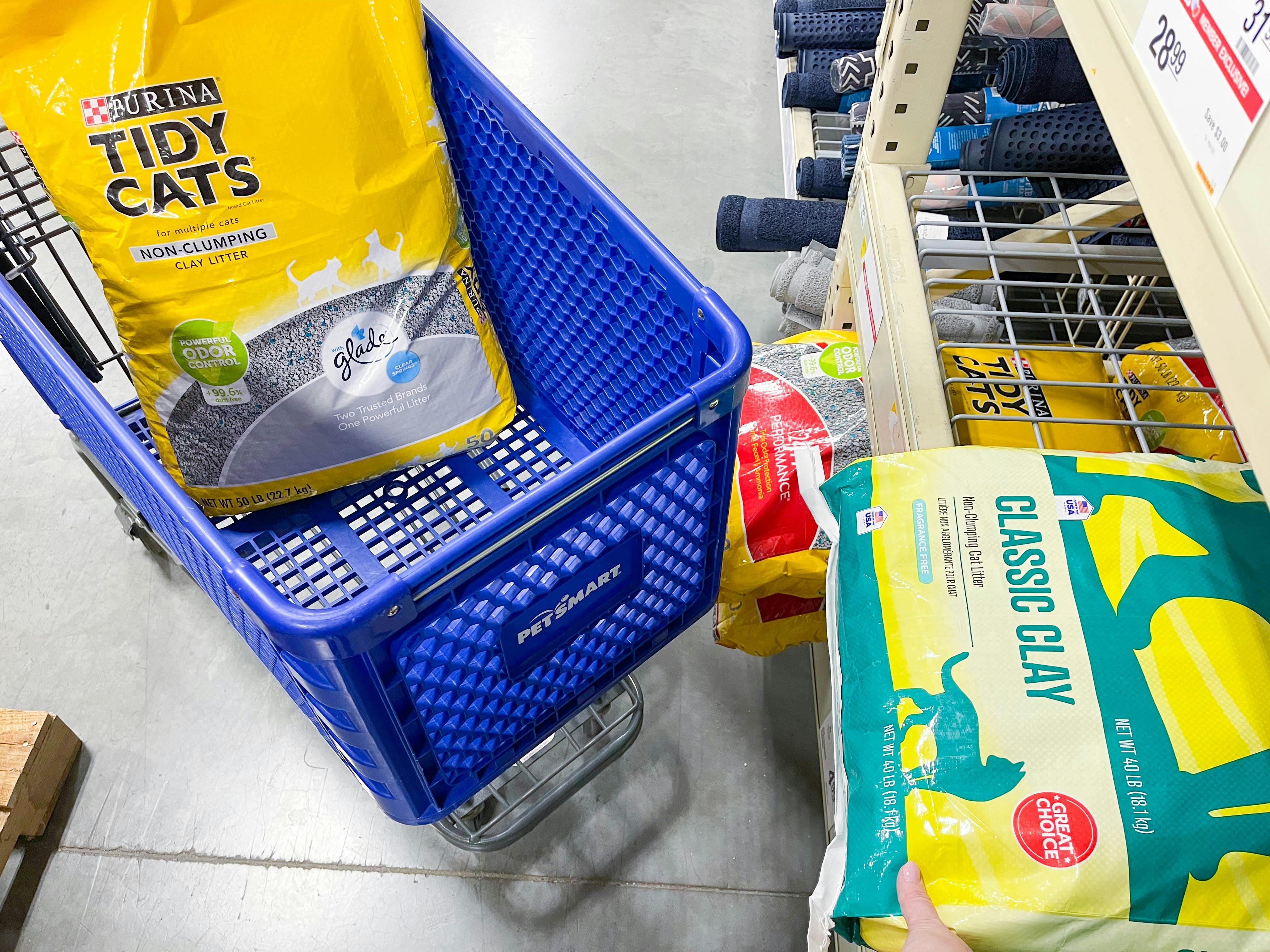10 Ways to Scoop Up Cheap Cat Litter The Krazy Coupon Lady