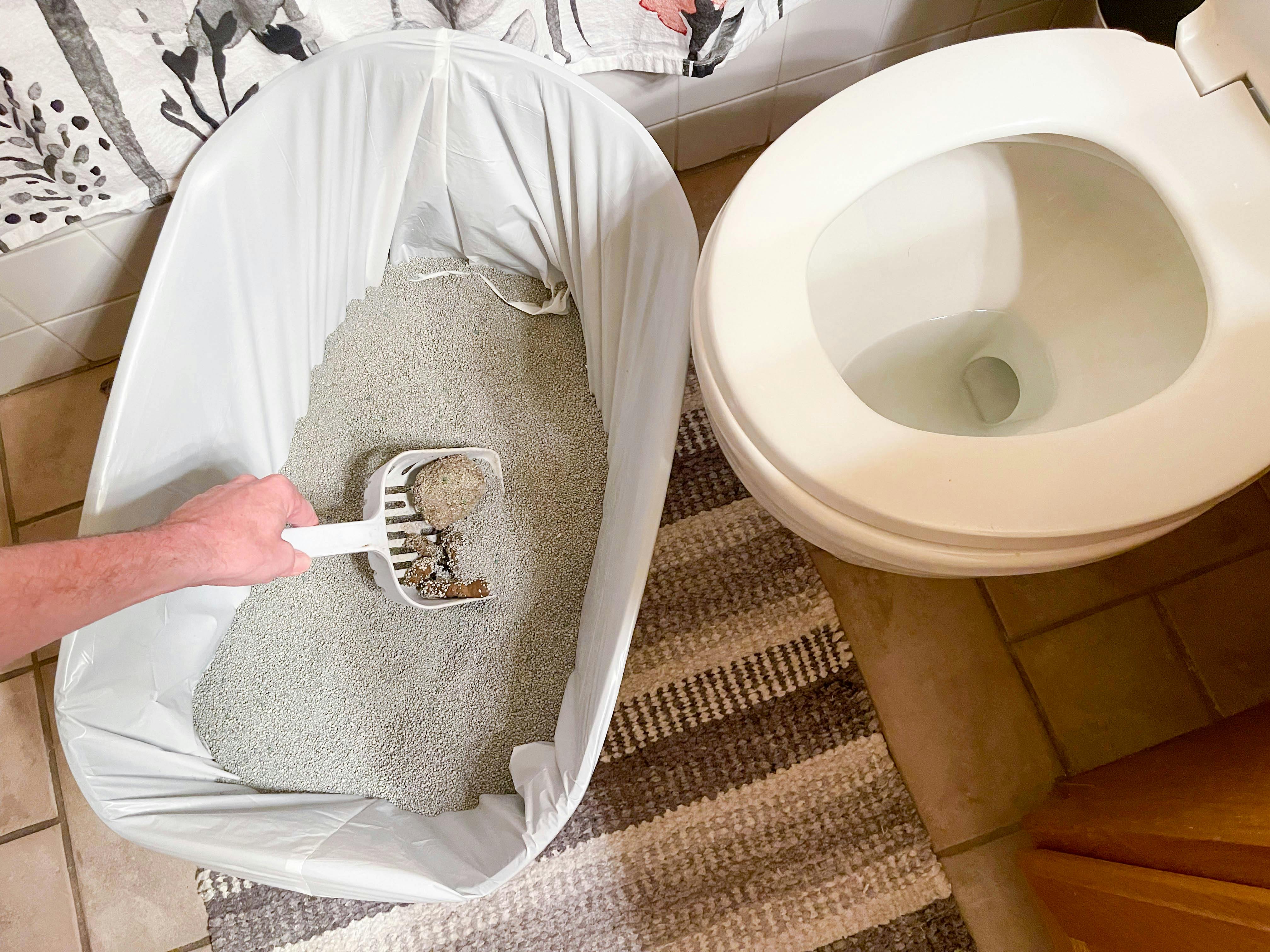 a person scooping cat litter near a toilet