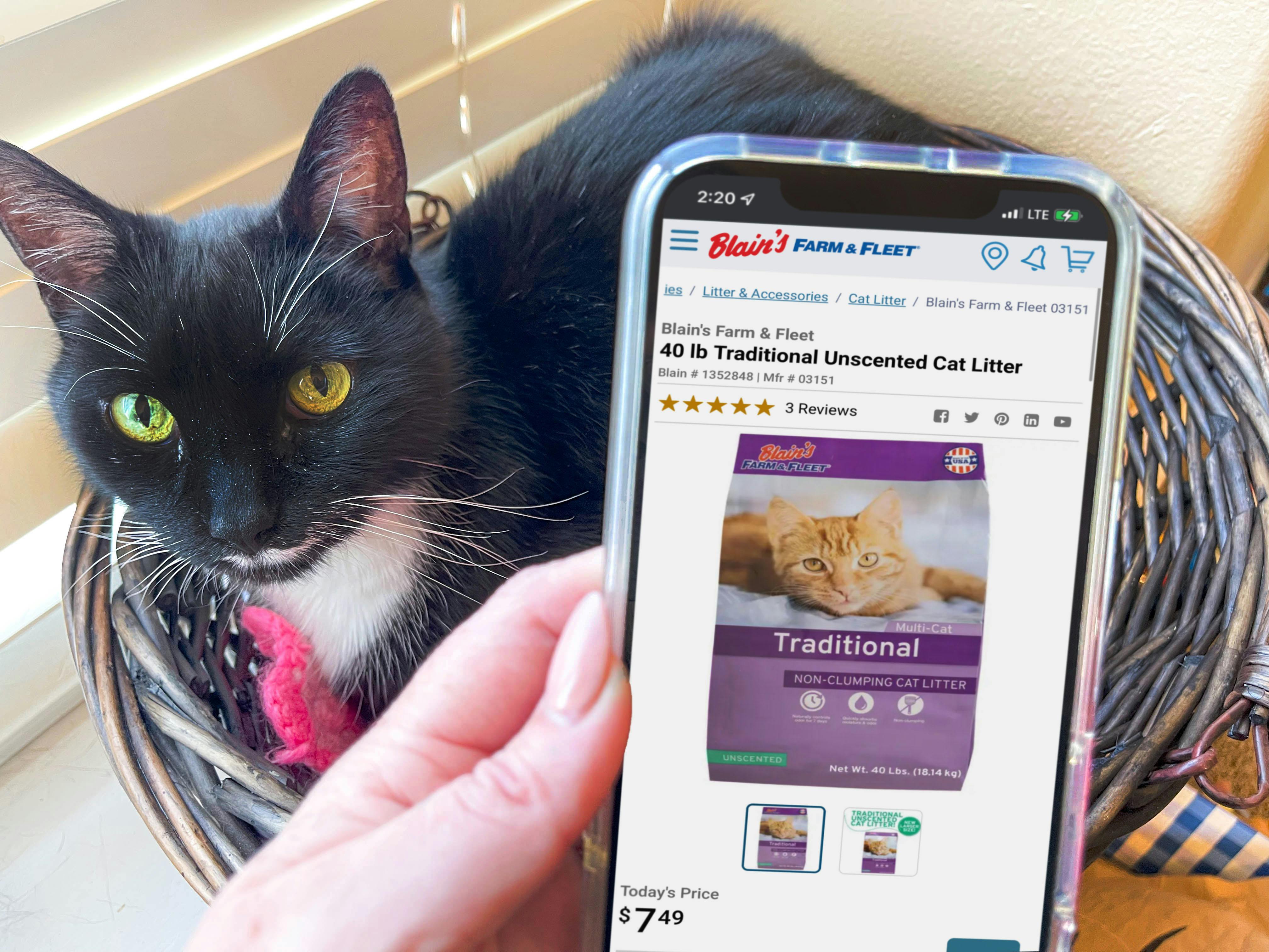 10 Ways to Scoop Up Cheap Cat Litter The Krazy Coupon Lady