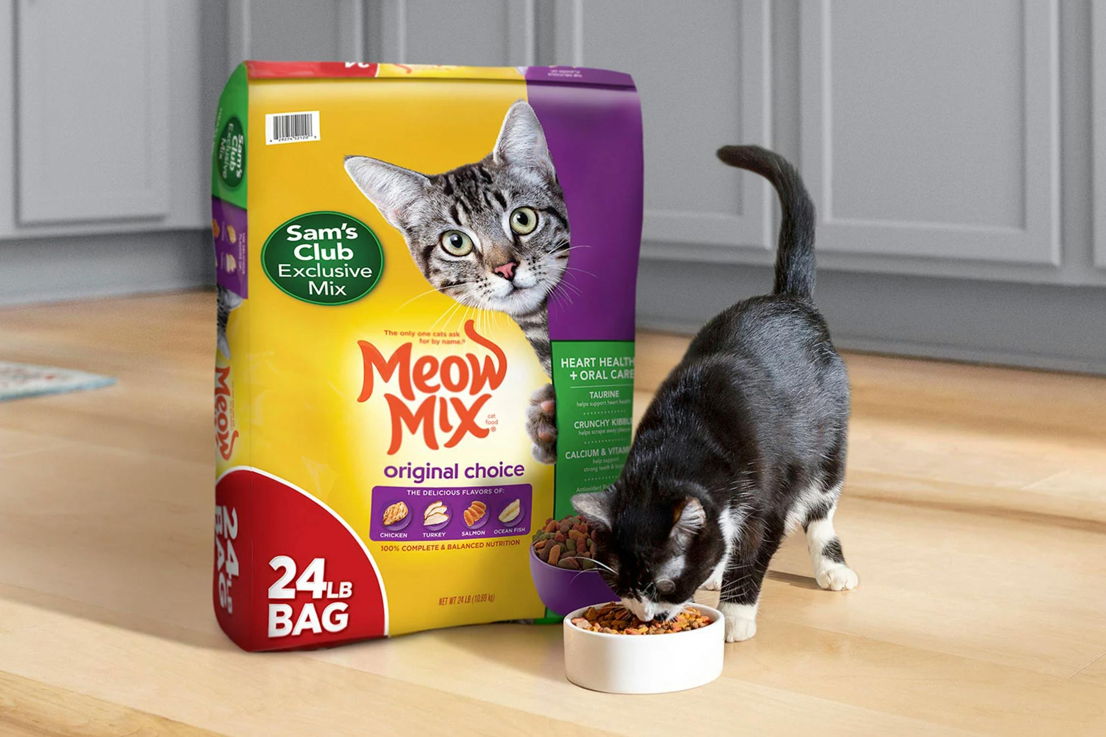 sam's club exclusive mixture meow mix food near a cat eating from a bowl