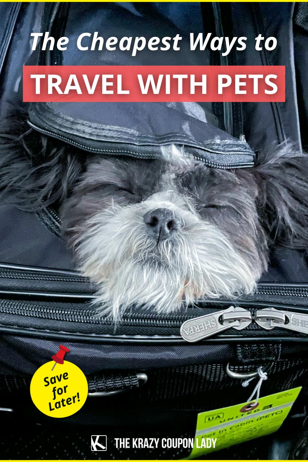 The Cheapest Ways to Travel with Your Pets