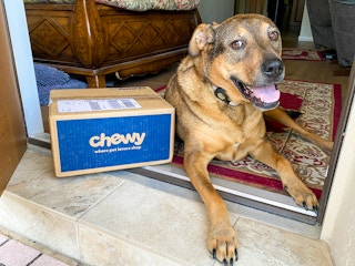 A dog laying in a front doorway with a Chewy box next to it.