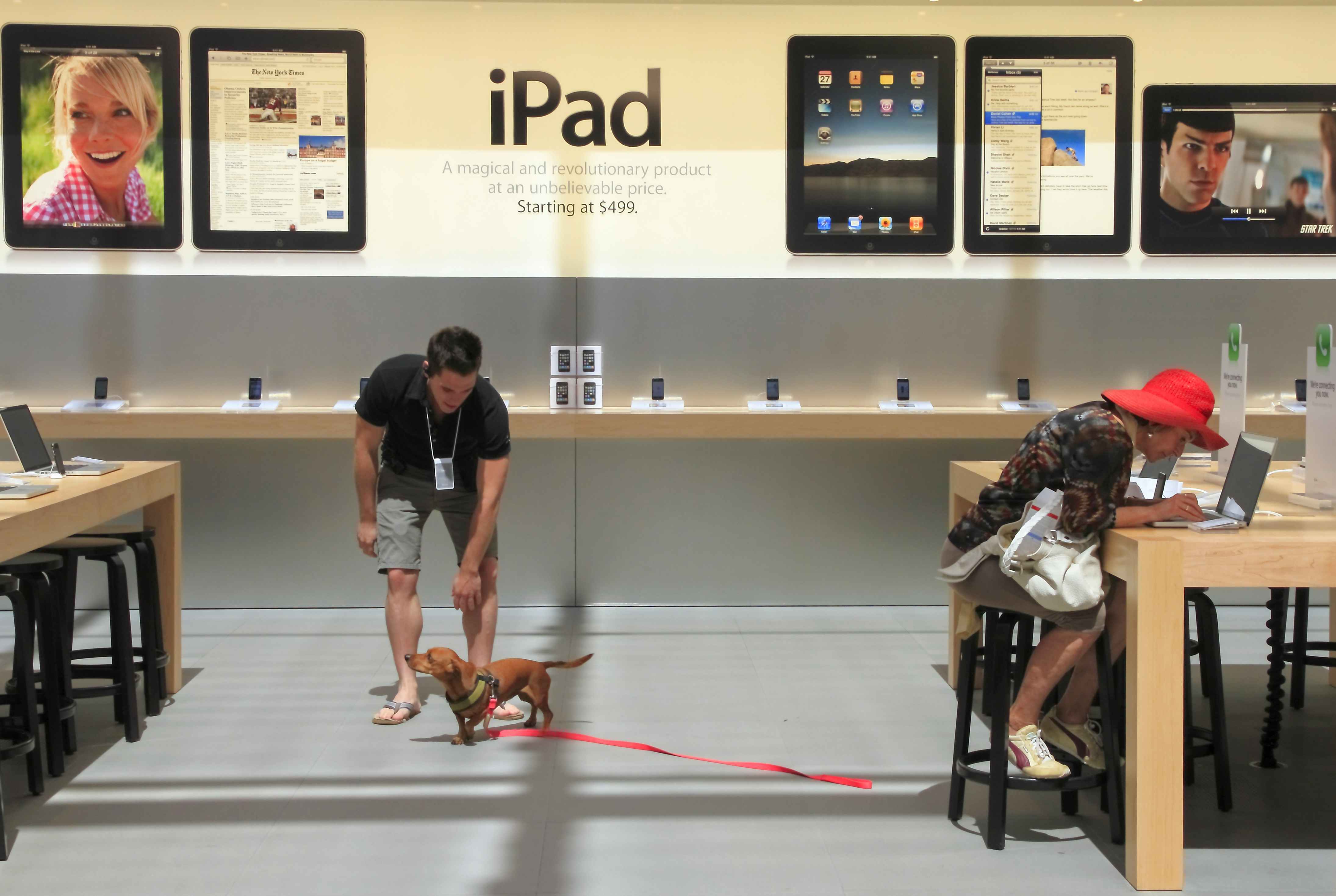 An Apple employee playing with a customers dog while she sits at a table looking at a Macbook computer inside of an Apple store.