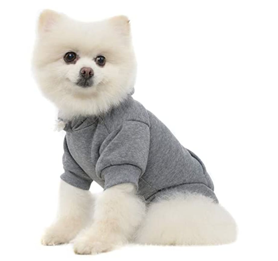 inexpensive dog clothes