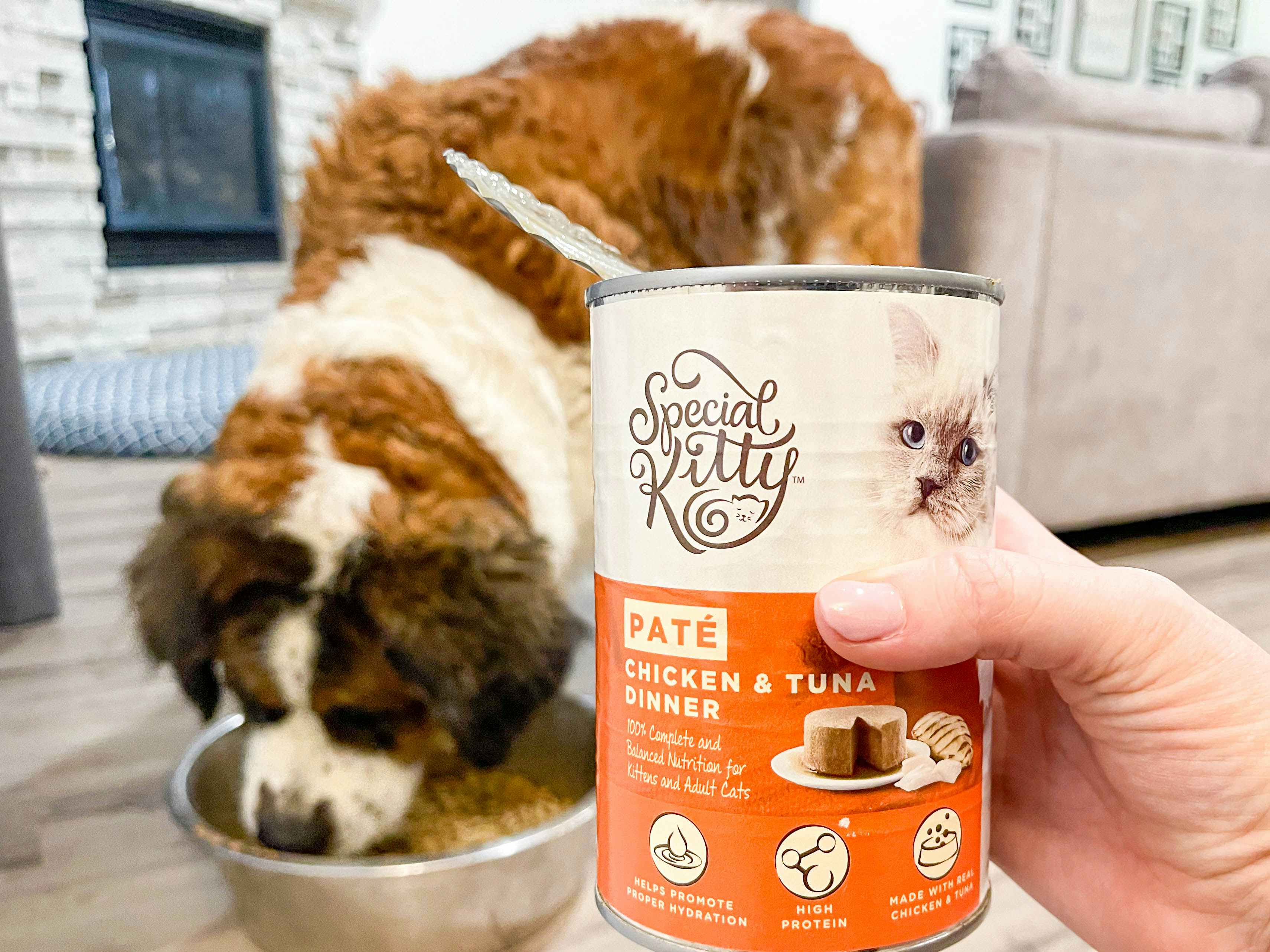 a can of wet cat food being held in front of a dog eating 