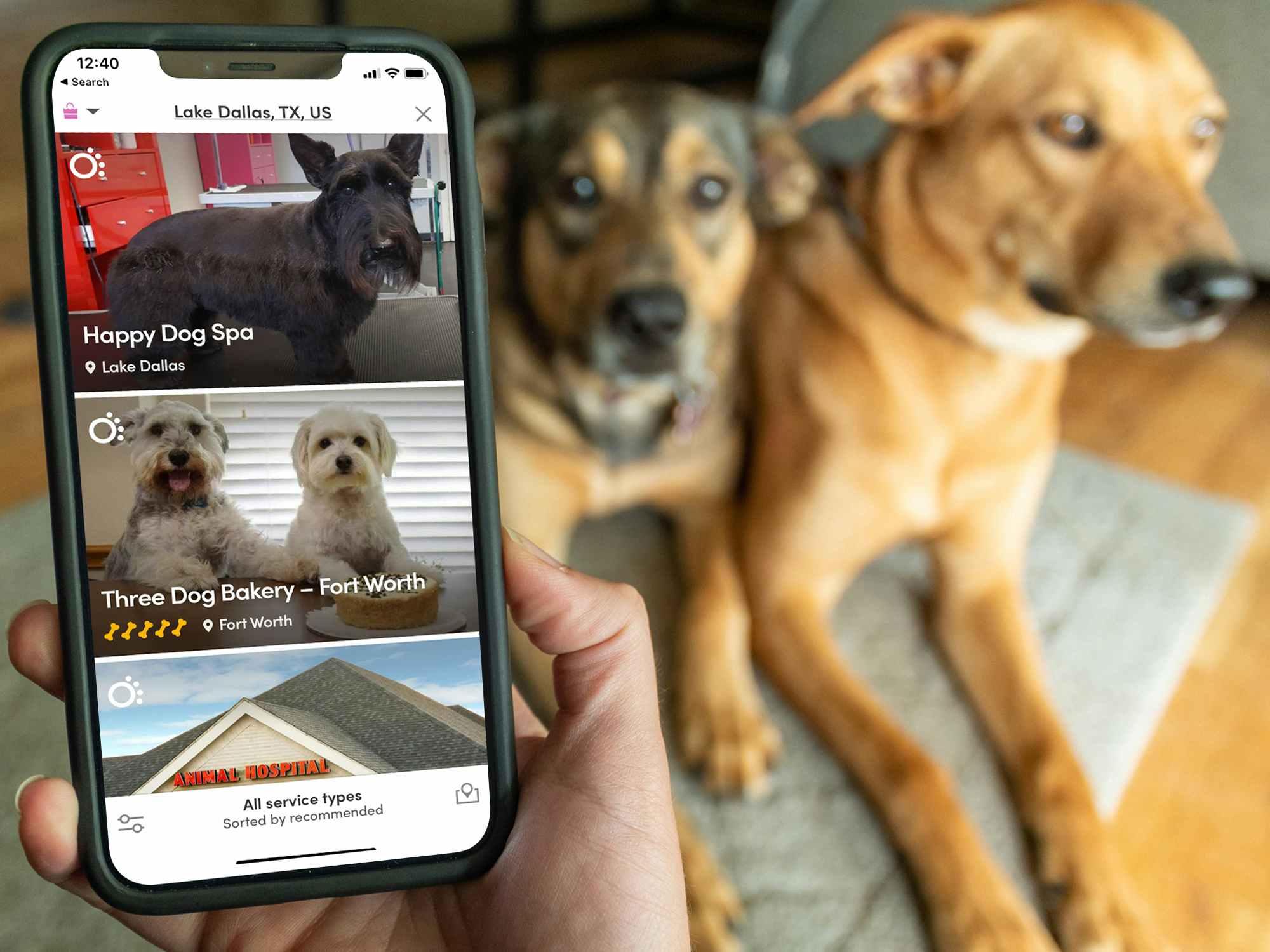 person on phone searching for pet services on bring fido app with dogs in background