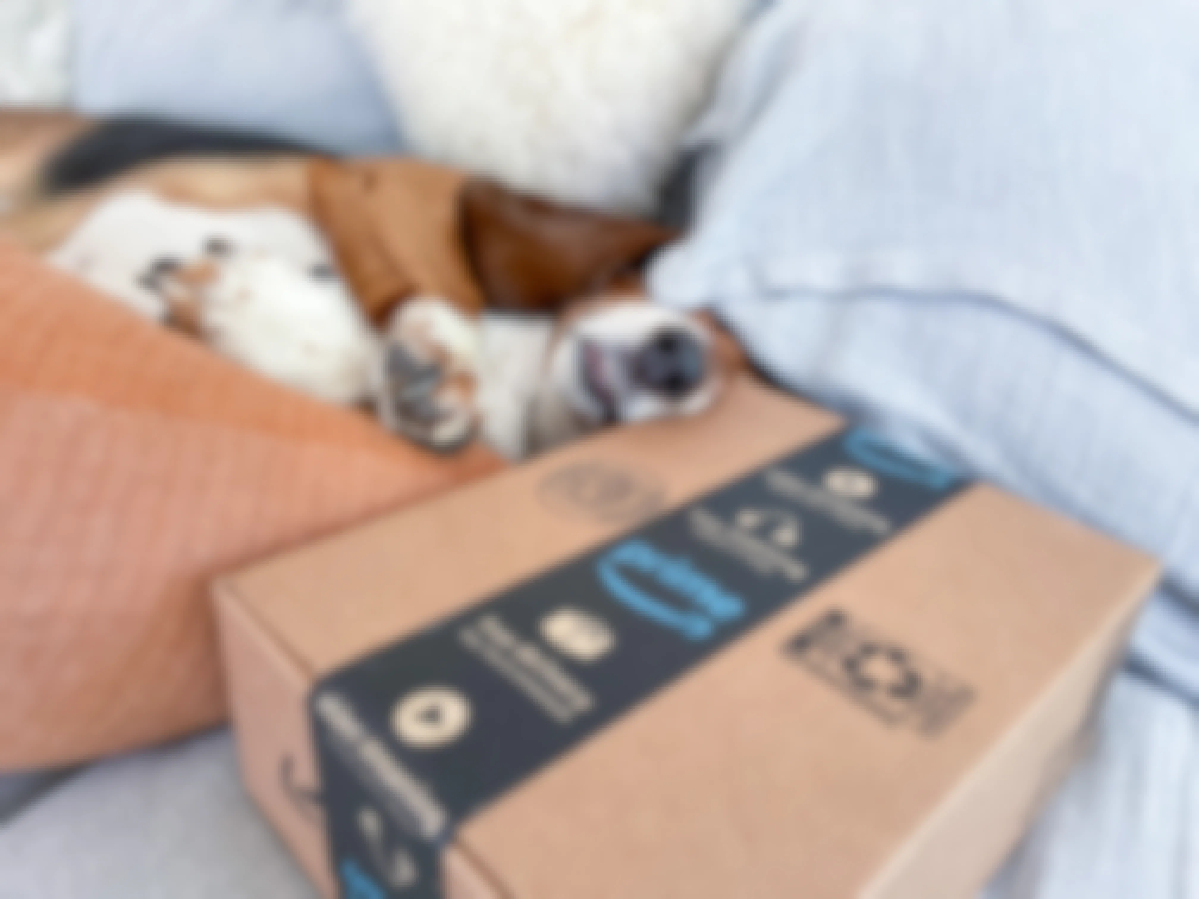 a dog sleeping next to an amazon prime box on a couch