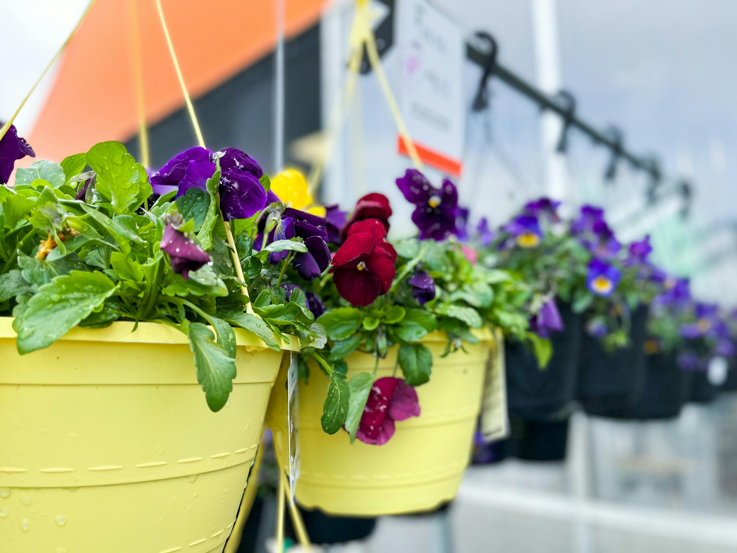 Home Depot Memorial Day Sale 2023 Details - The Krazy Coupon Lady