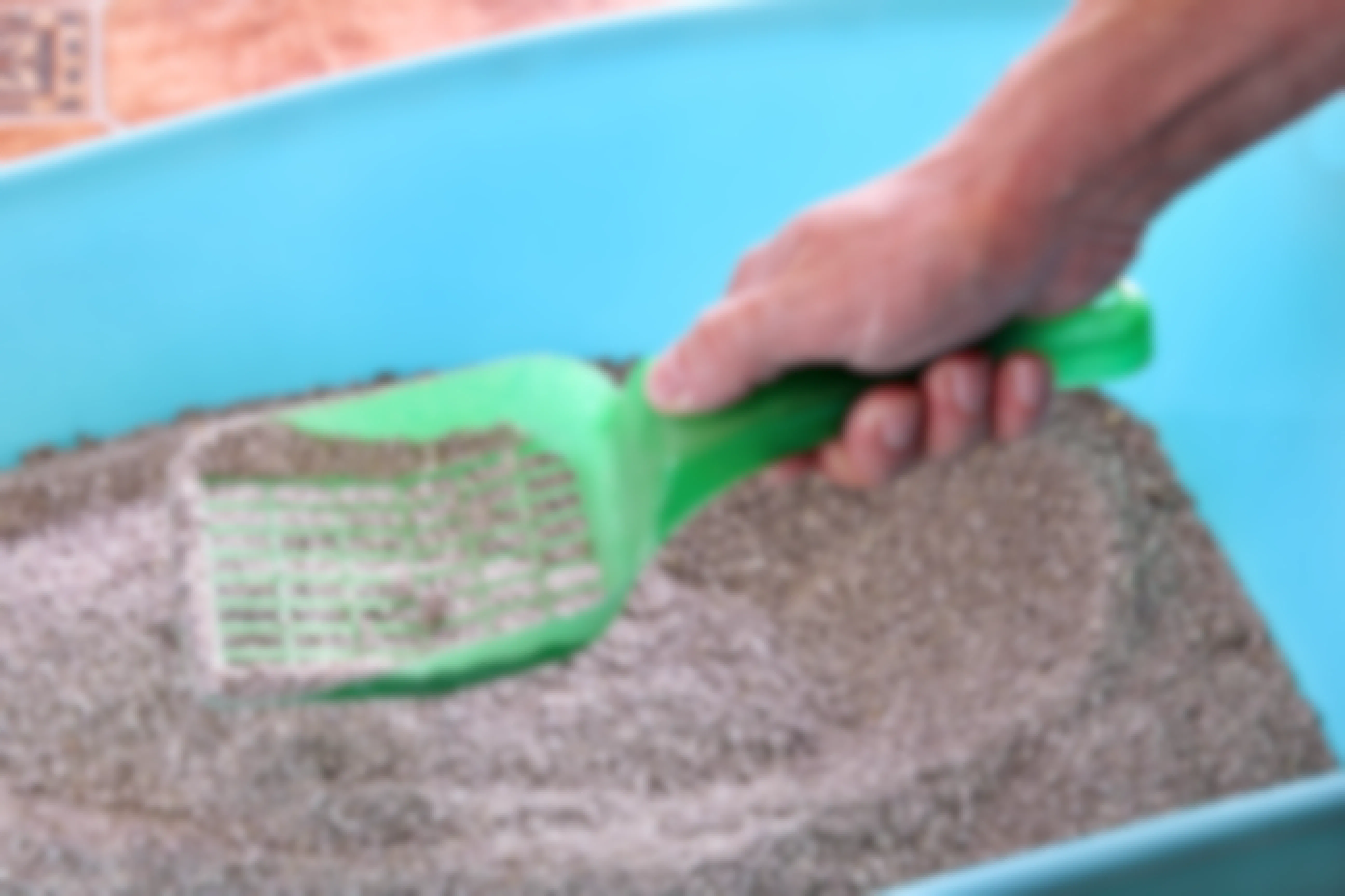 A person using a scoop inside a box of cat litter